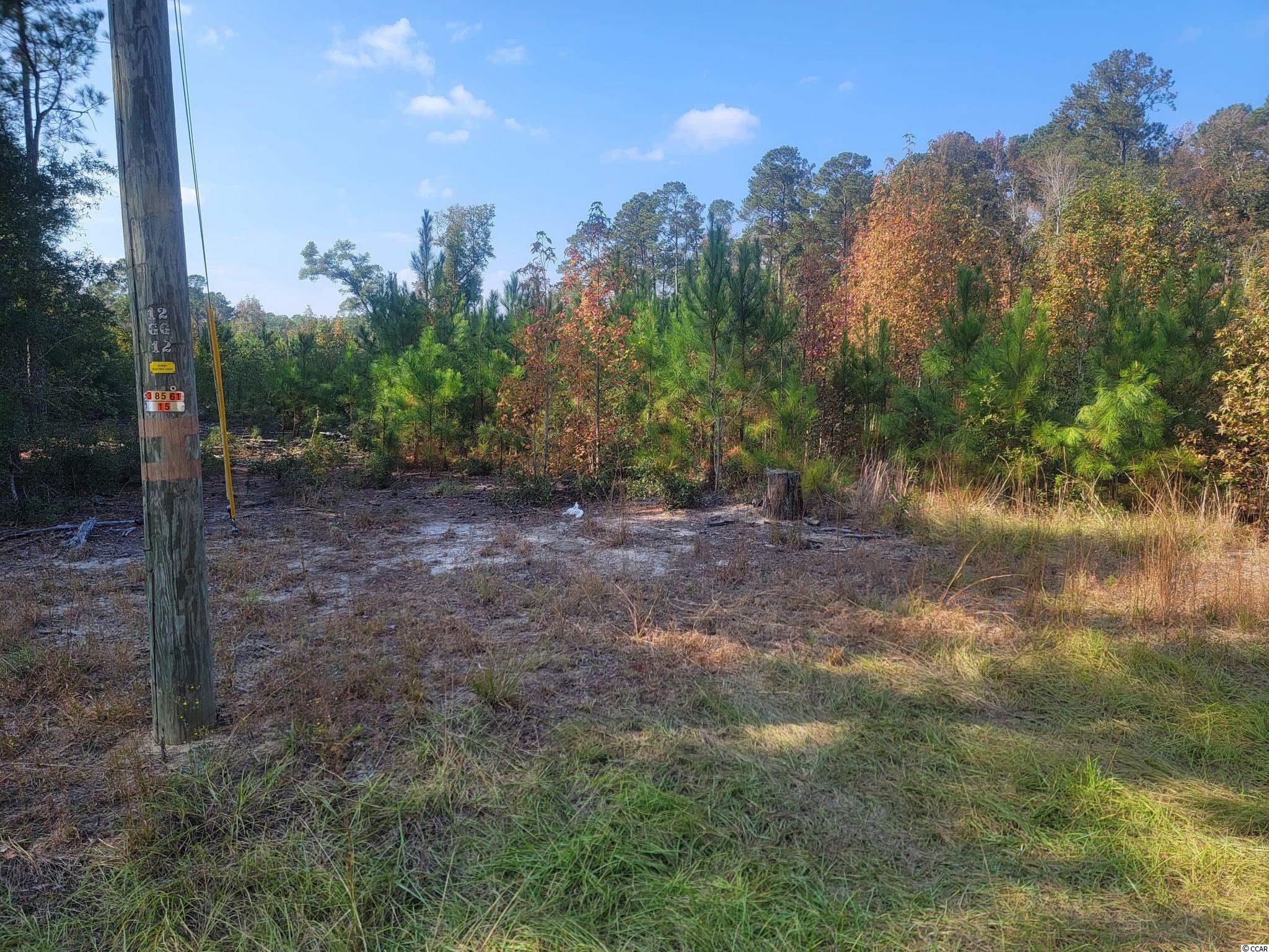 LOT #15 Plantation Rd. Nichols, SC 29581