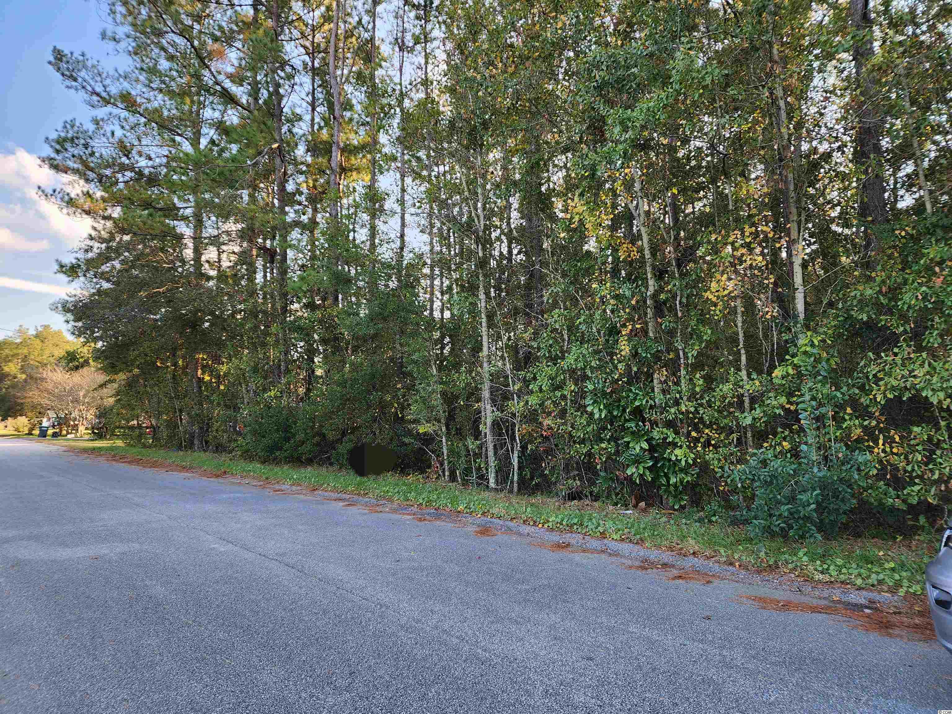 TBD Pink Dogwood Dr. Loris, SC 29569