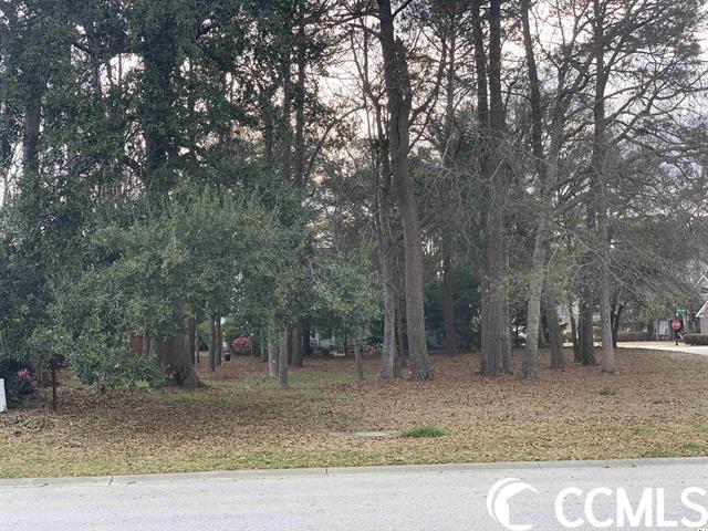 Lot 137 Burning Tree Ln. Little River, SC 29566