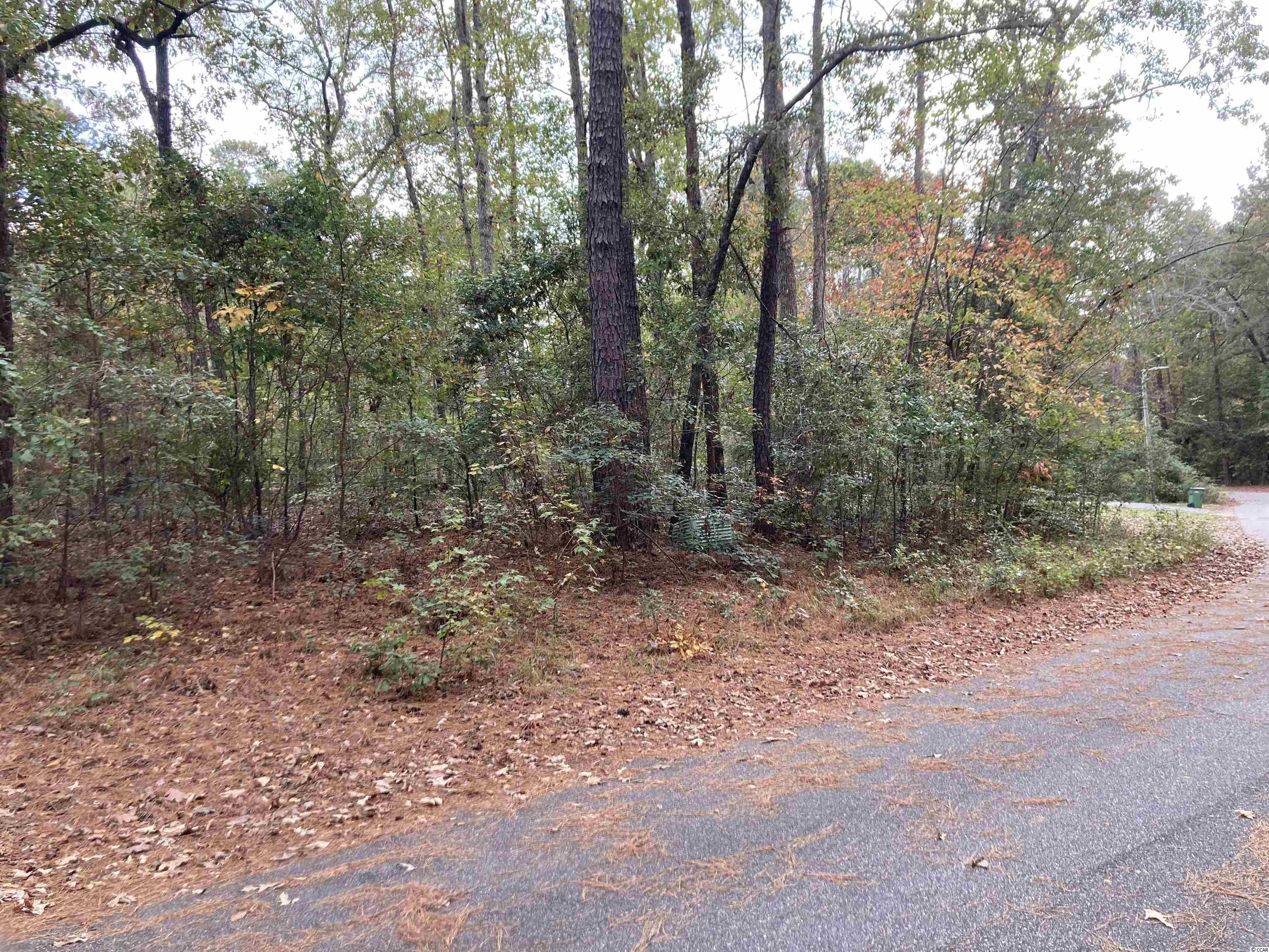 TBD 2 Pine Needle Circle Johnsonville, SC 29555