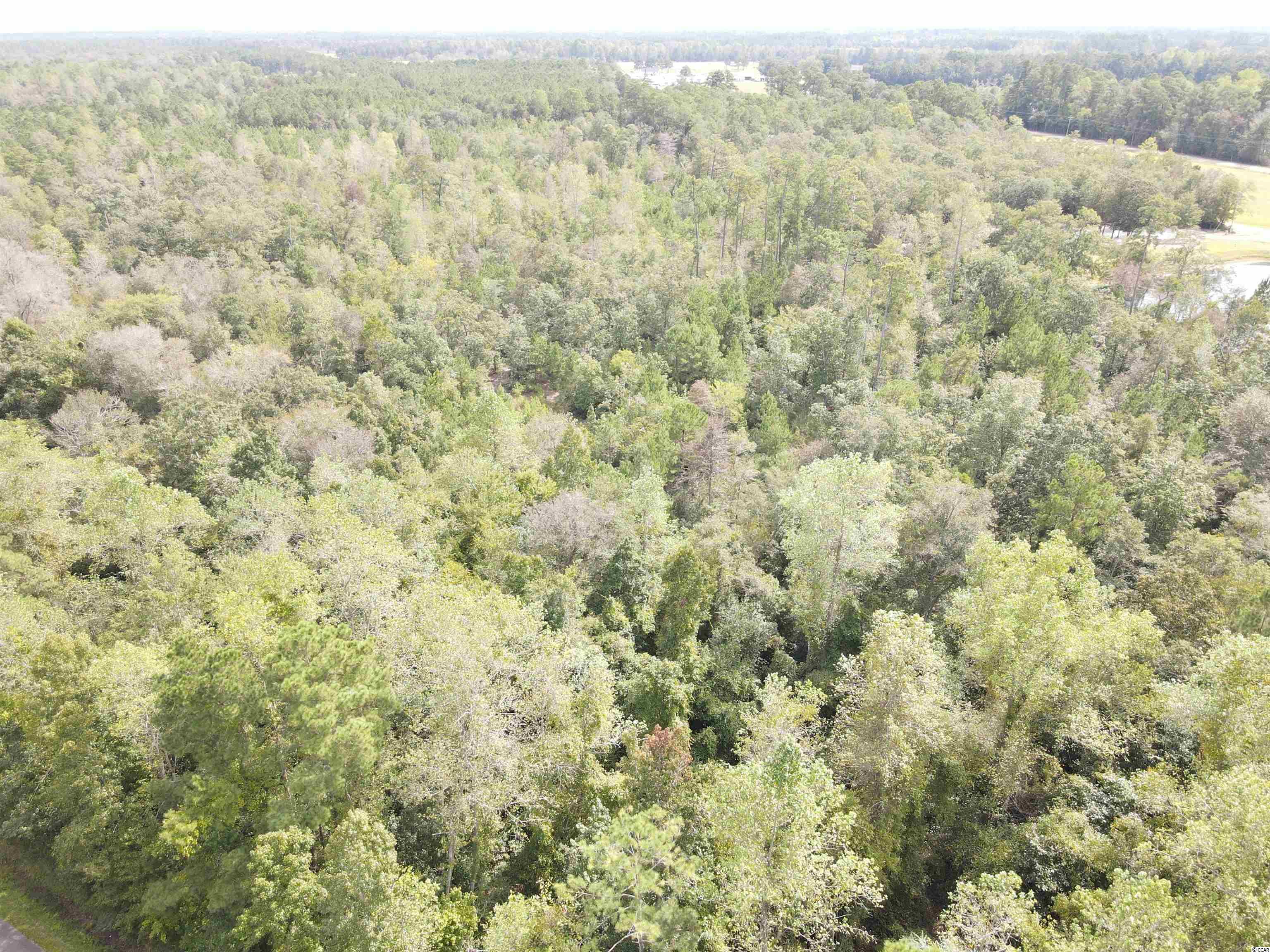 Lot 6 Rainbow Dr. Loris, SC 29569