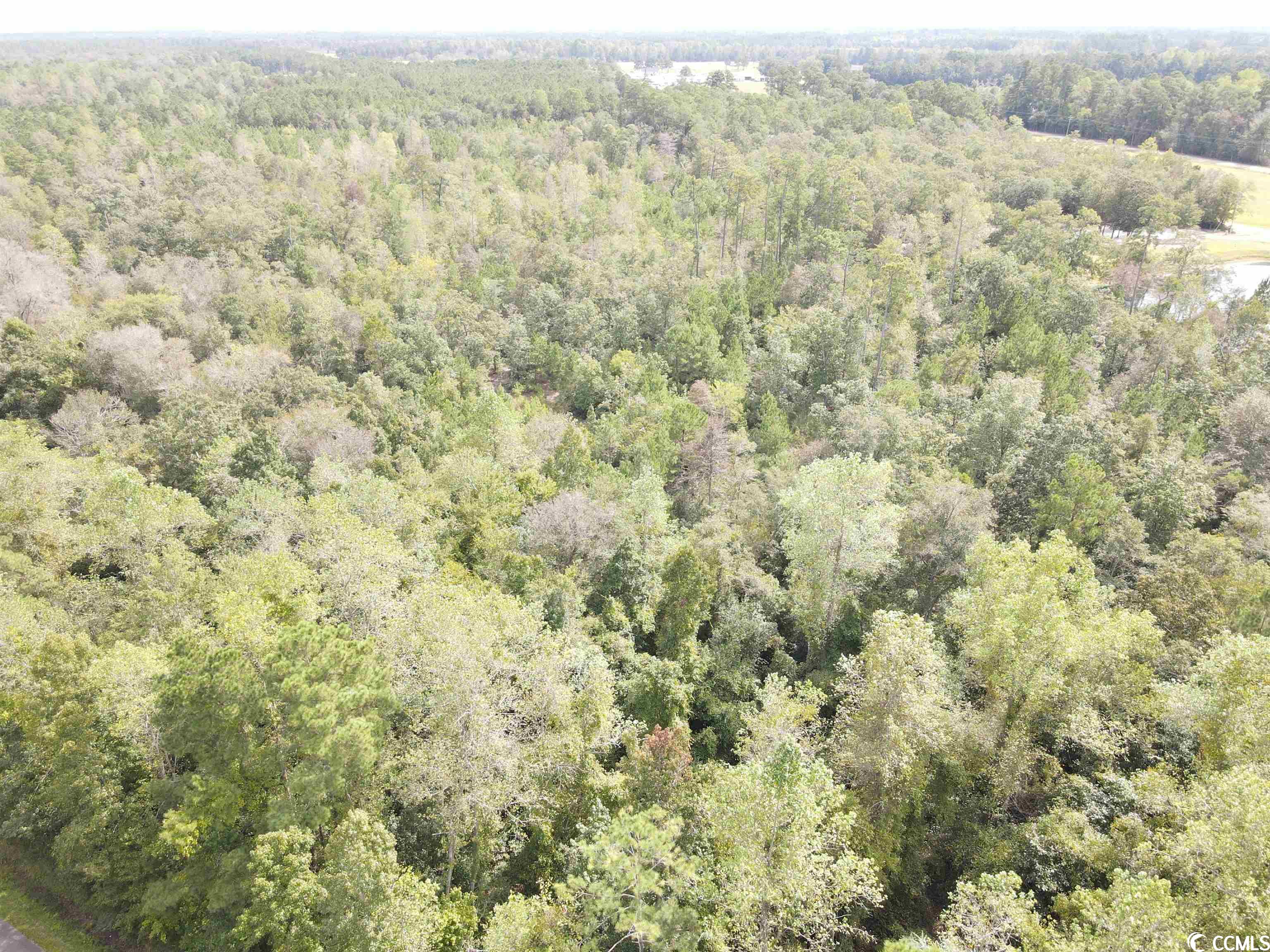 Lot 8 Rainbow Dr. Loris, SC 29569