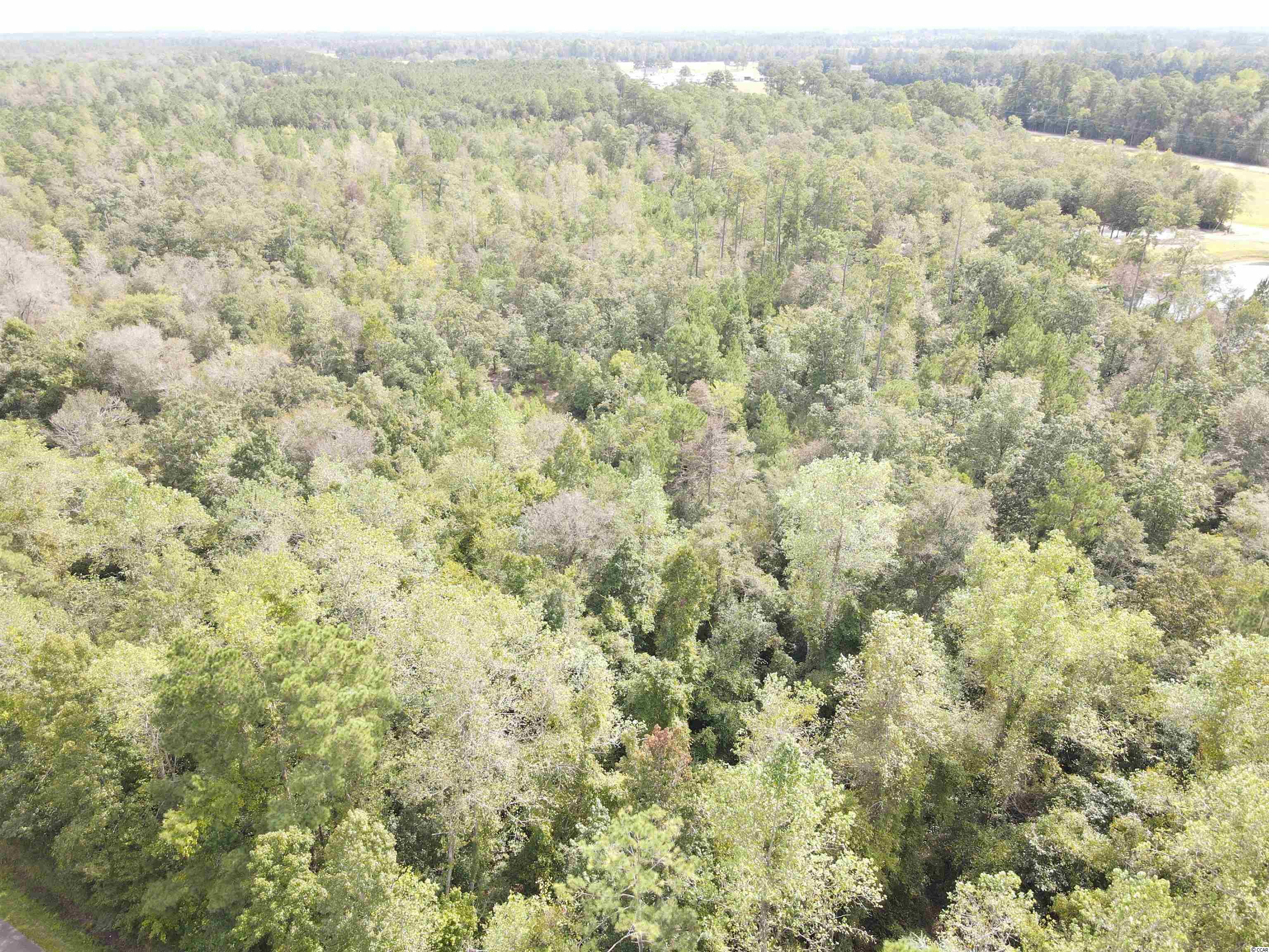 Lot 9 Rainbow Dr. Loris, SC 29569