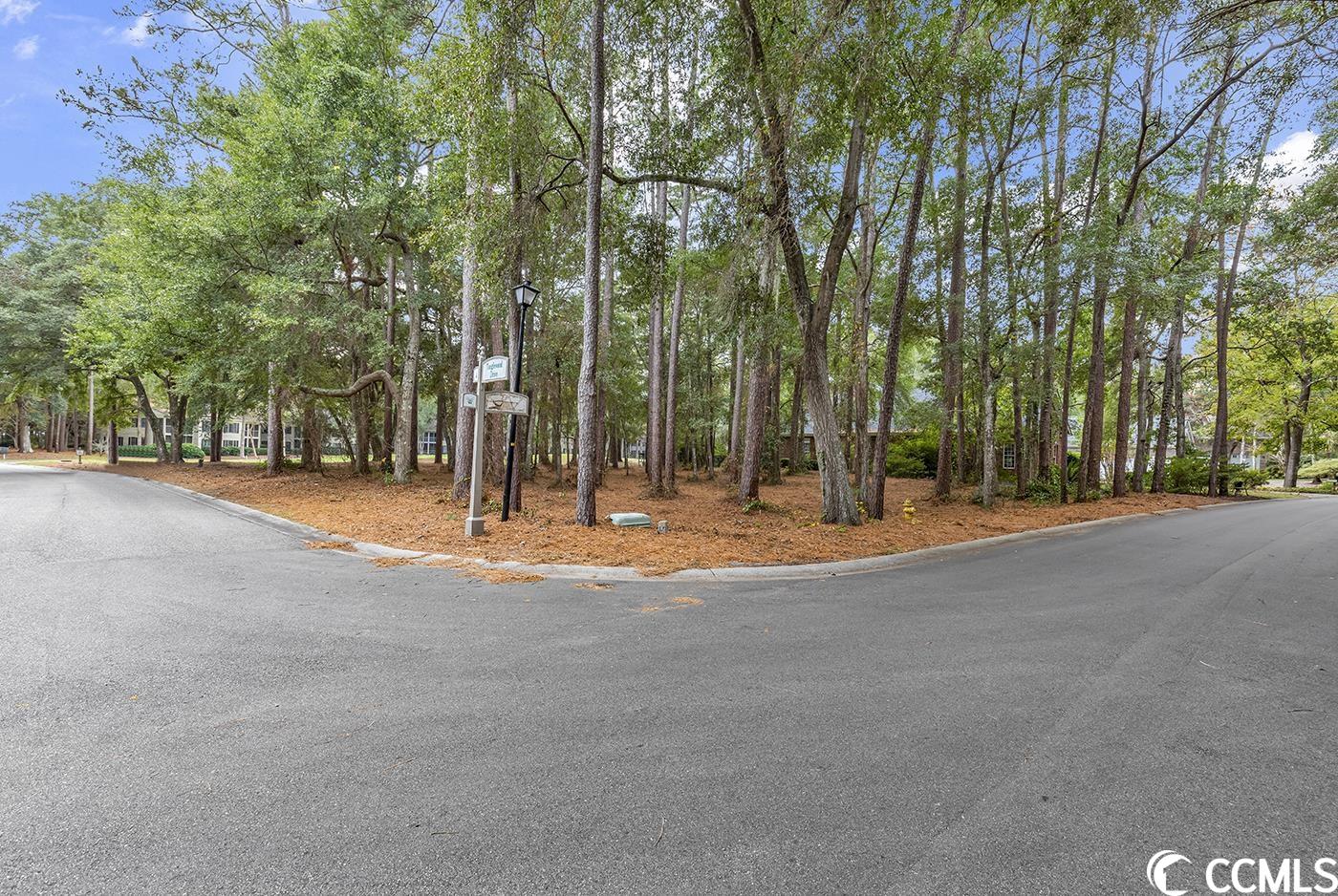 TBD Masters Dr. Pawleys Island, SC 29585