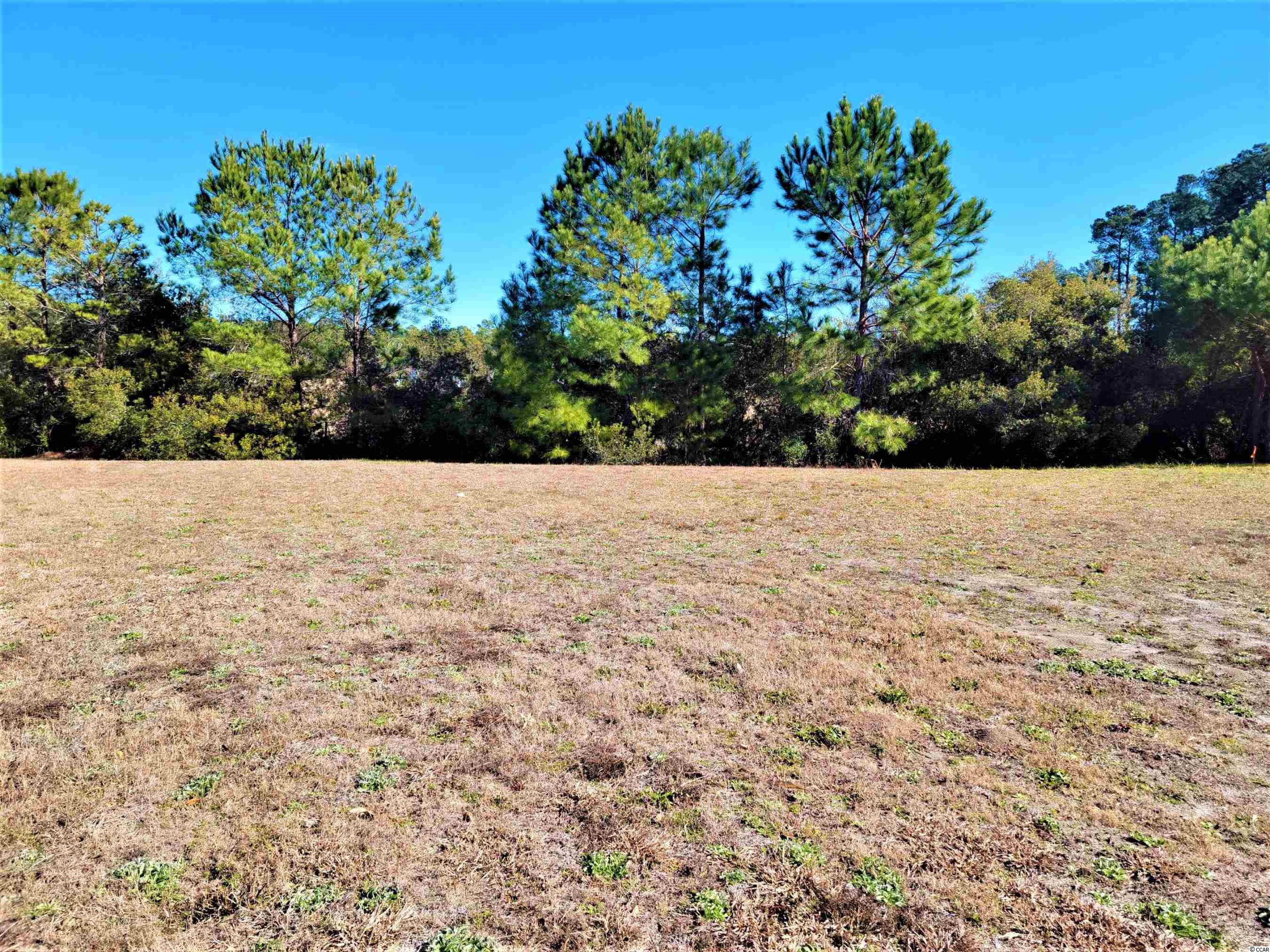 1004 Muskeg Ct. Conway, SC 29526