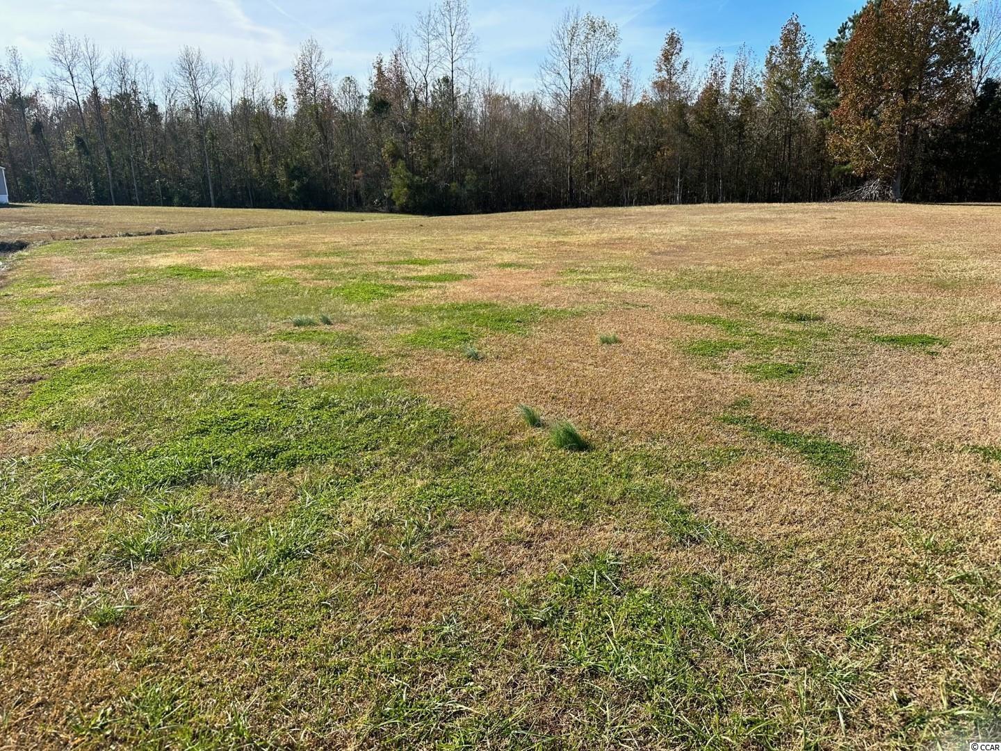 Lot 4 Mack Rd. Conway, SC 29526
