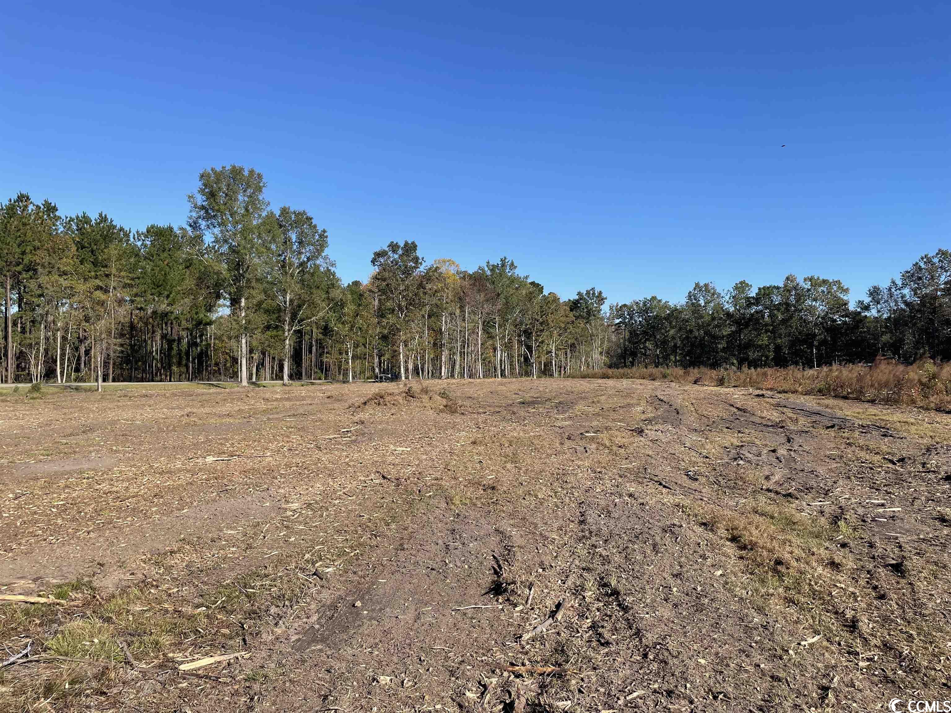 TBT Highway 41 Andrews, SC 29510