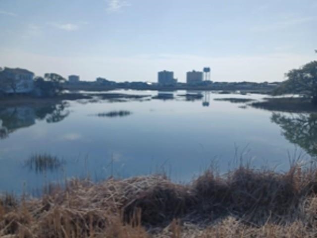 812 Sea Mountain Hwy. UNIT B North Myrtle Beach, SC 29582
