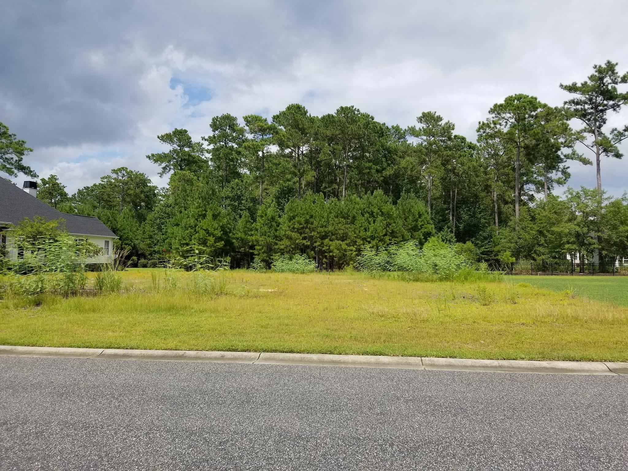 Lot 190 Woody Point Dr. Murrells Inlet, SC 29576