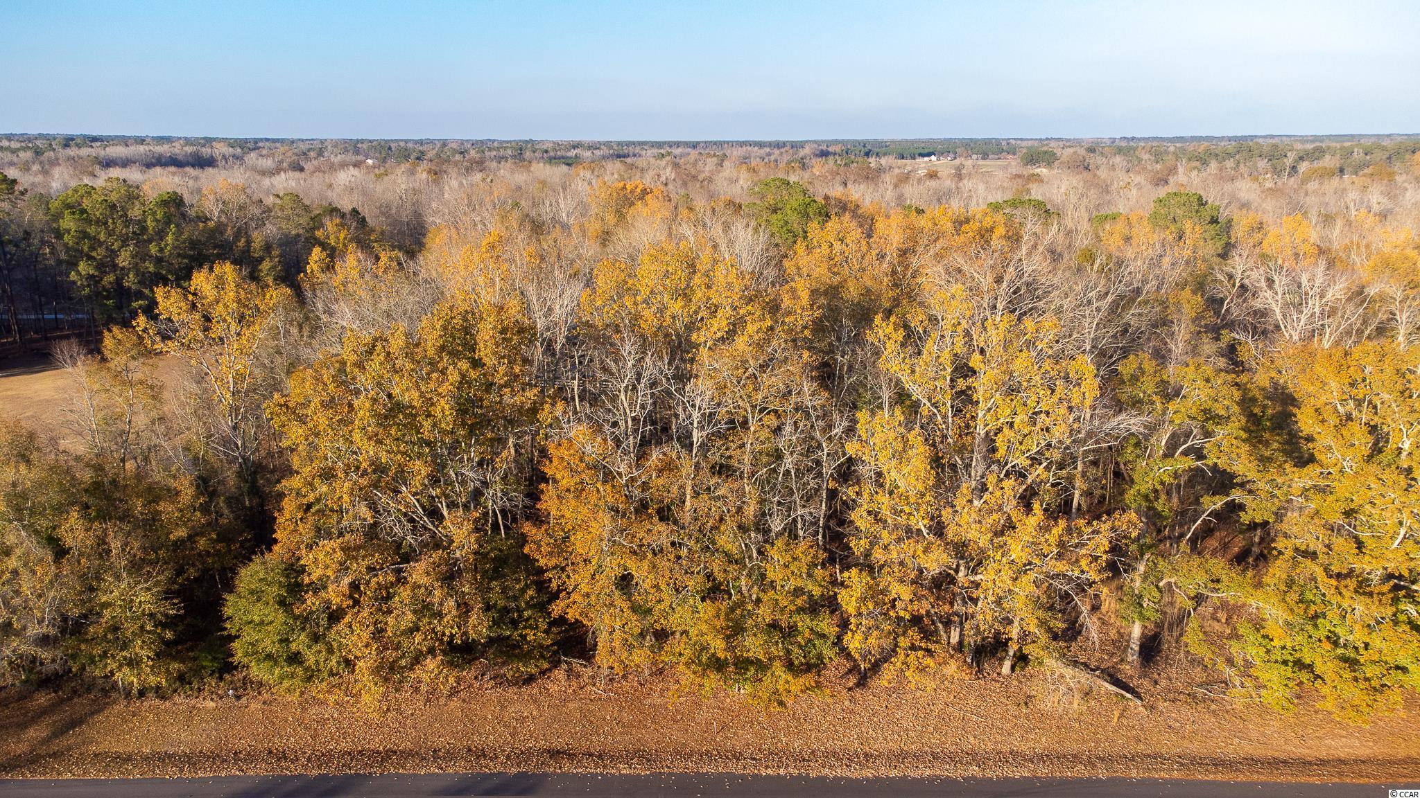 Lot 18 Whirlaway Ave. Florence, SC 29505