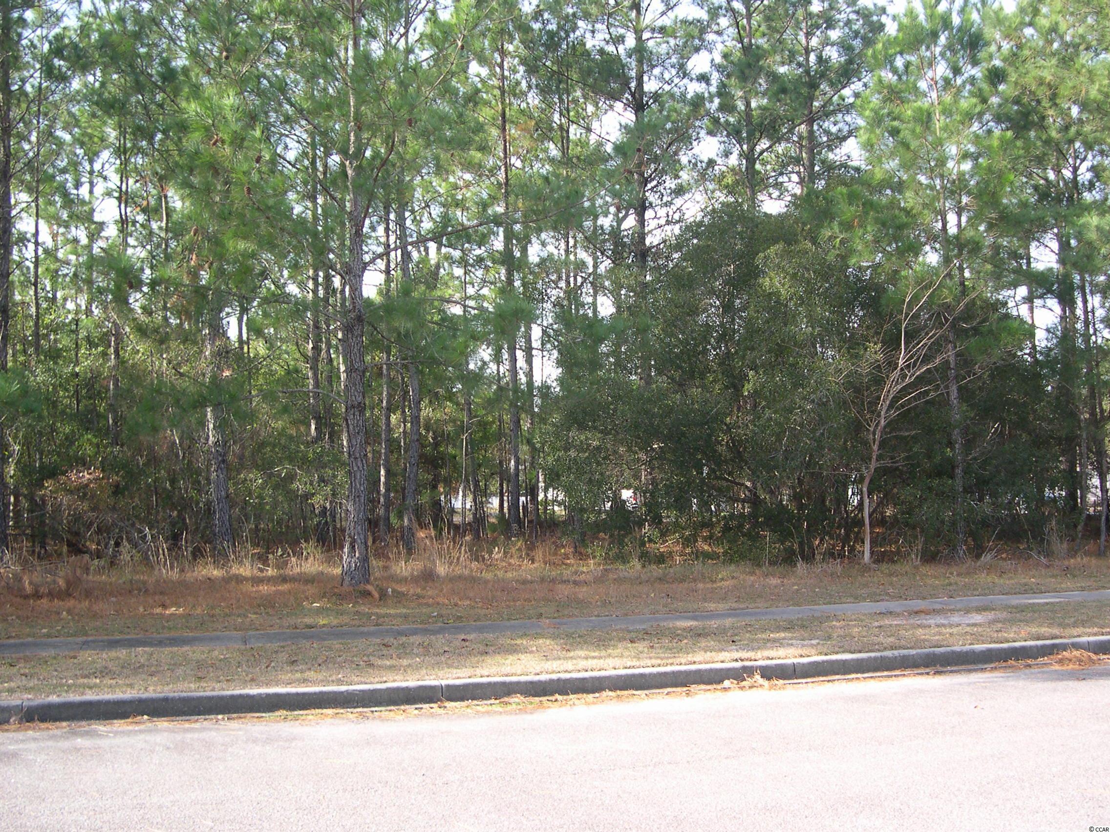 Lot 140 Bridgeview Rd. Georgetown, SC 29440