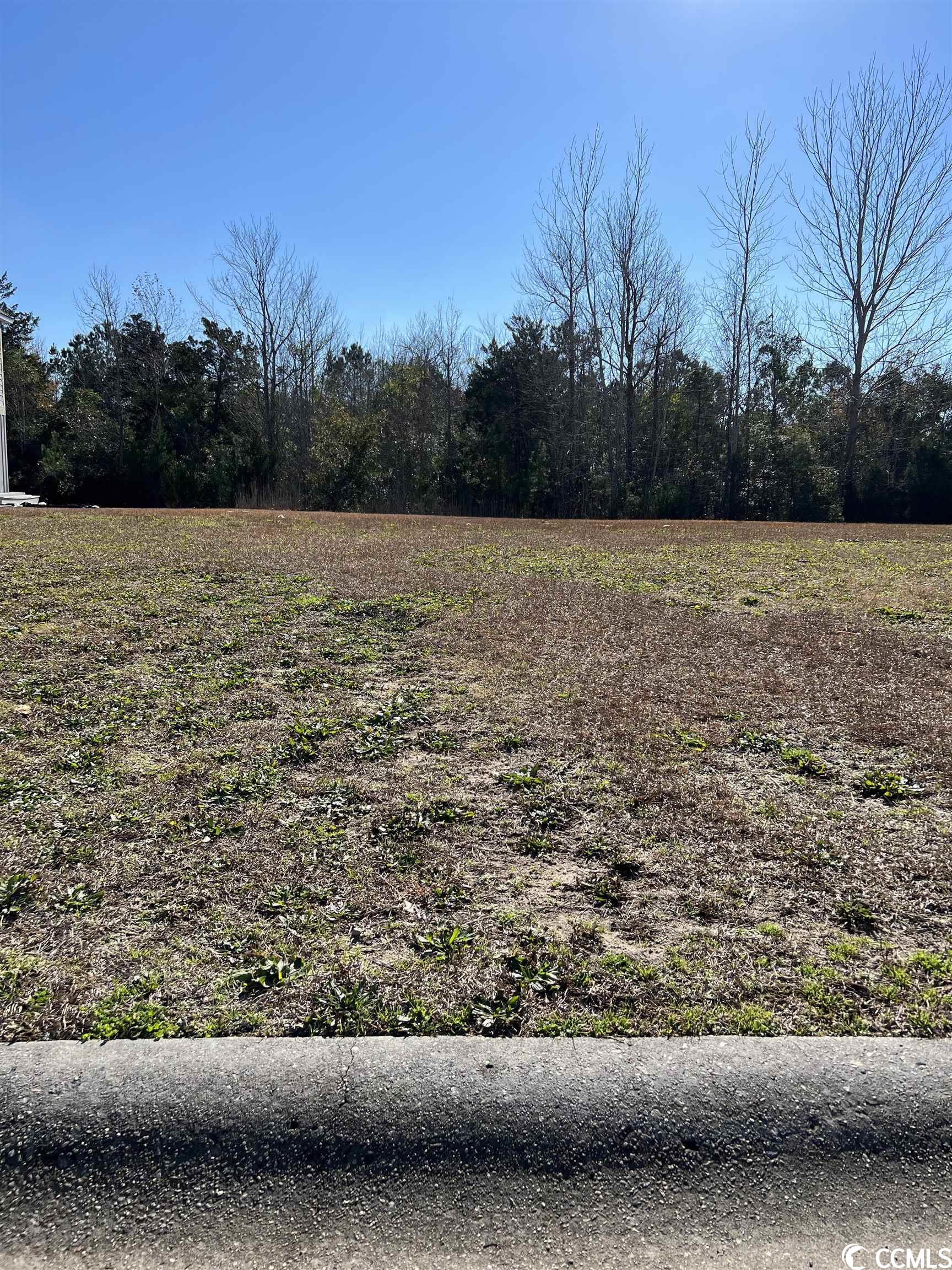 Lot 73 Palmetto Harbour Dr. North Myrtle Beach, SC 29582