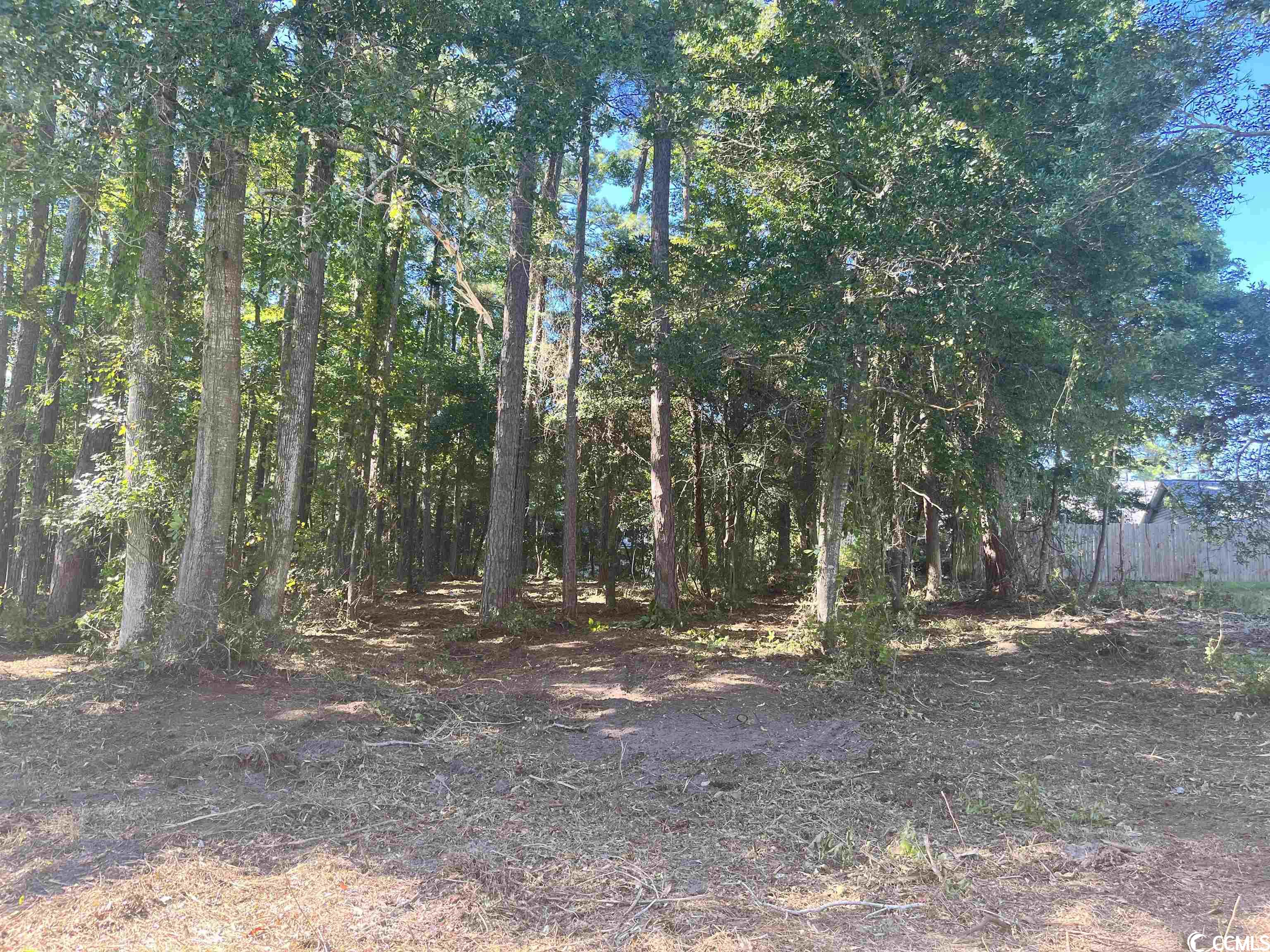 Lot 8 Luck Ave. Little River, SC 29566