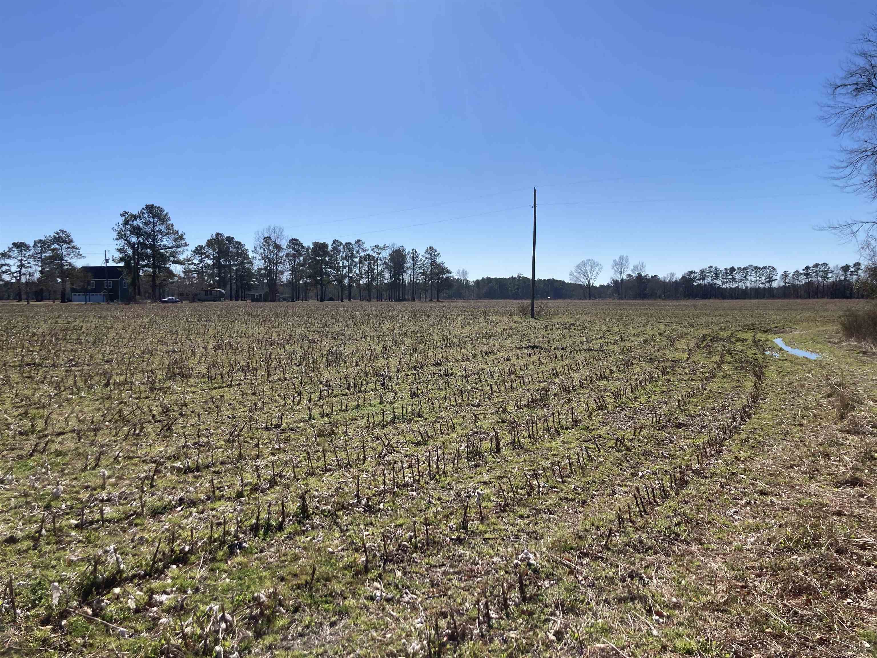 TBD Cumbie Rd. Andrews, SC 29510