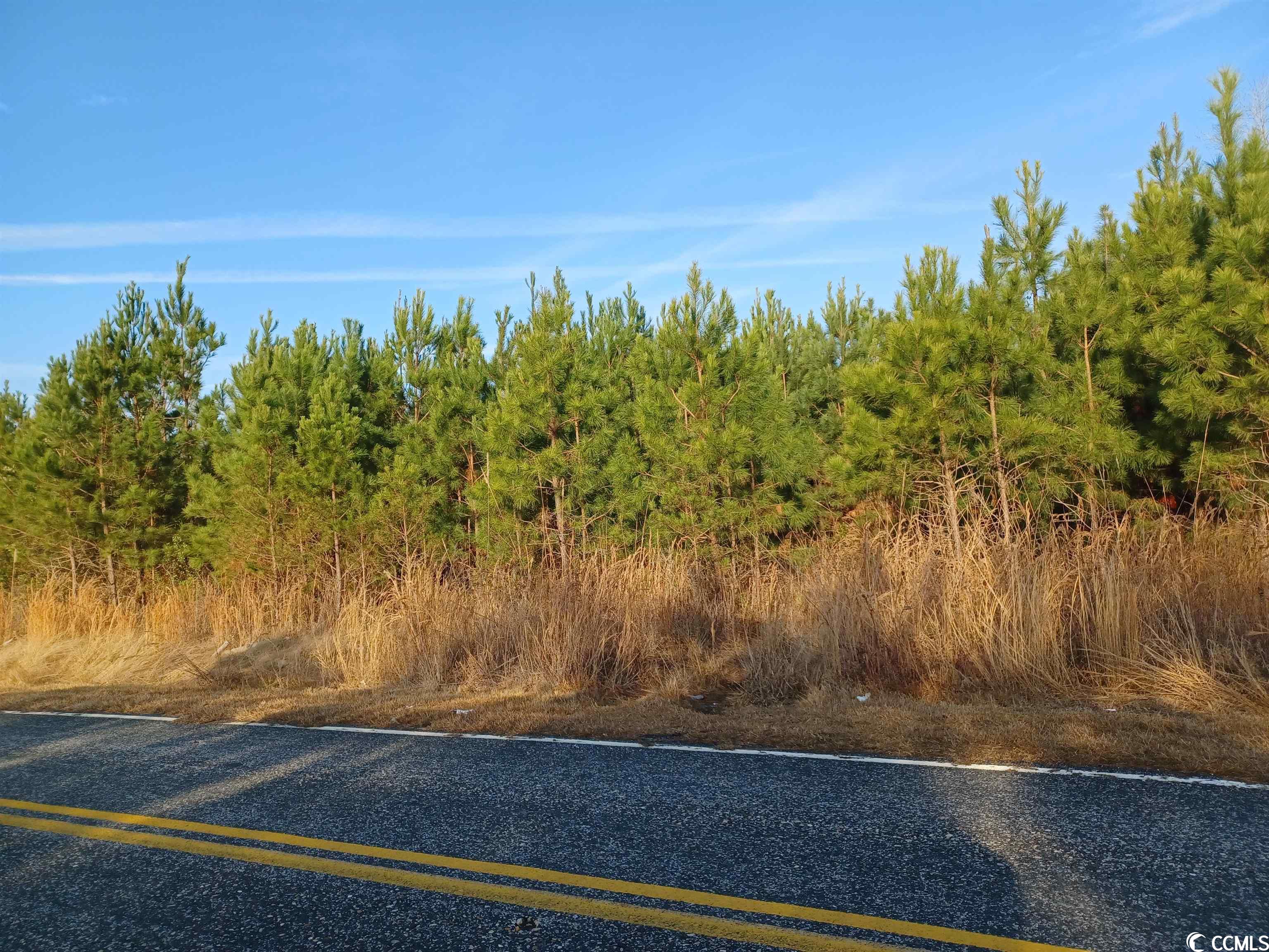 Hamp Rd. Mullins, SC 29574