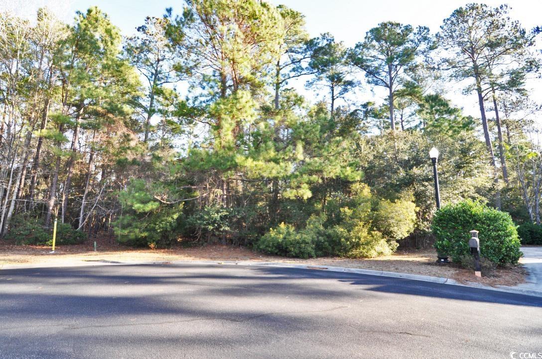 85 barlowe court is a wooded, cul-de-sac residential lot located in the collins creek landing community of murrells inlet, sc. located at the end of nine lot street, this lot backs up to an approximate 50 foot nature buffer, which is owned by the homeowner's association, allowing for ultimate privacy. this buffer also extends out to the pond on the right side of the backyard to allow for pond views depending on the orientation of your future home. collins creek landing has an eight-acre amenity area that includes a clubhouse with a covered, screened-in room with a wood burning fireplace, and a climate controlled kitchen area.  this clubhouse is ideal for neighborhood gatherings, supper clubs and/or birthday parties. other neighborhood amenities include: fishing ponds, soccer field, half basketball court, playground, community pool w/ kiddie pool area, two gas grills in pool area ideal for afternoon cookouts, nature trails, private boat ramp, community day dock and a boat storage area (when spaces are available). collins creek landing is a short boat ride away from the waccamaw river/intracoastal waterway. please contact the listing agent, or your realtor, for any other questions or to schedule a showing while you still can!