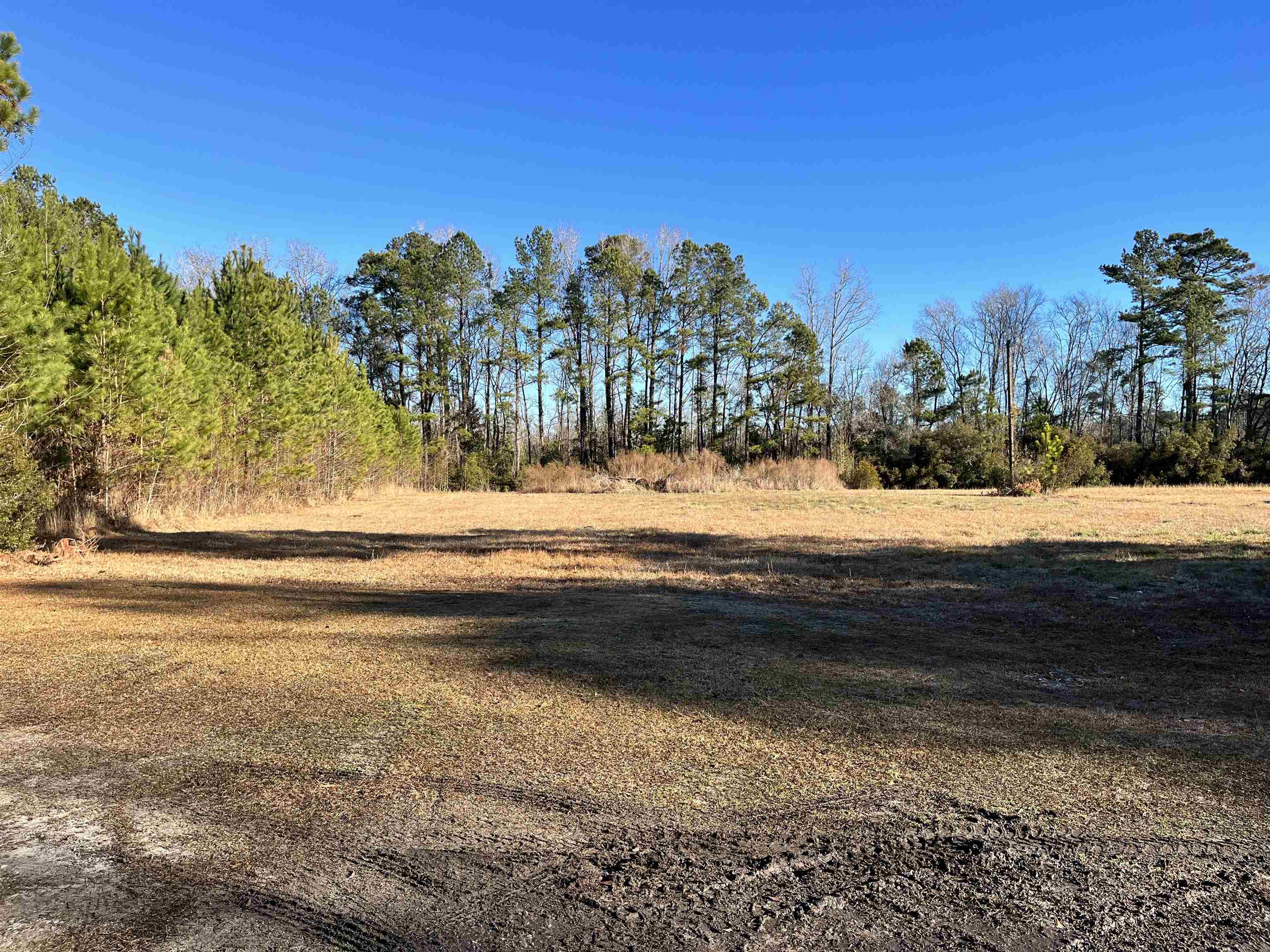 TBD Dawes St. Loris, SC 29569