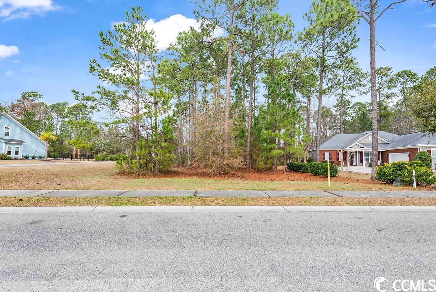 1008 Wigeon Dr. Conway, SC 29526