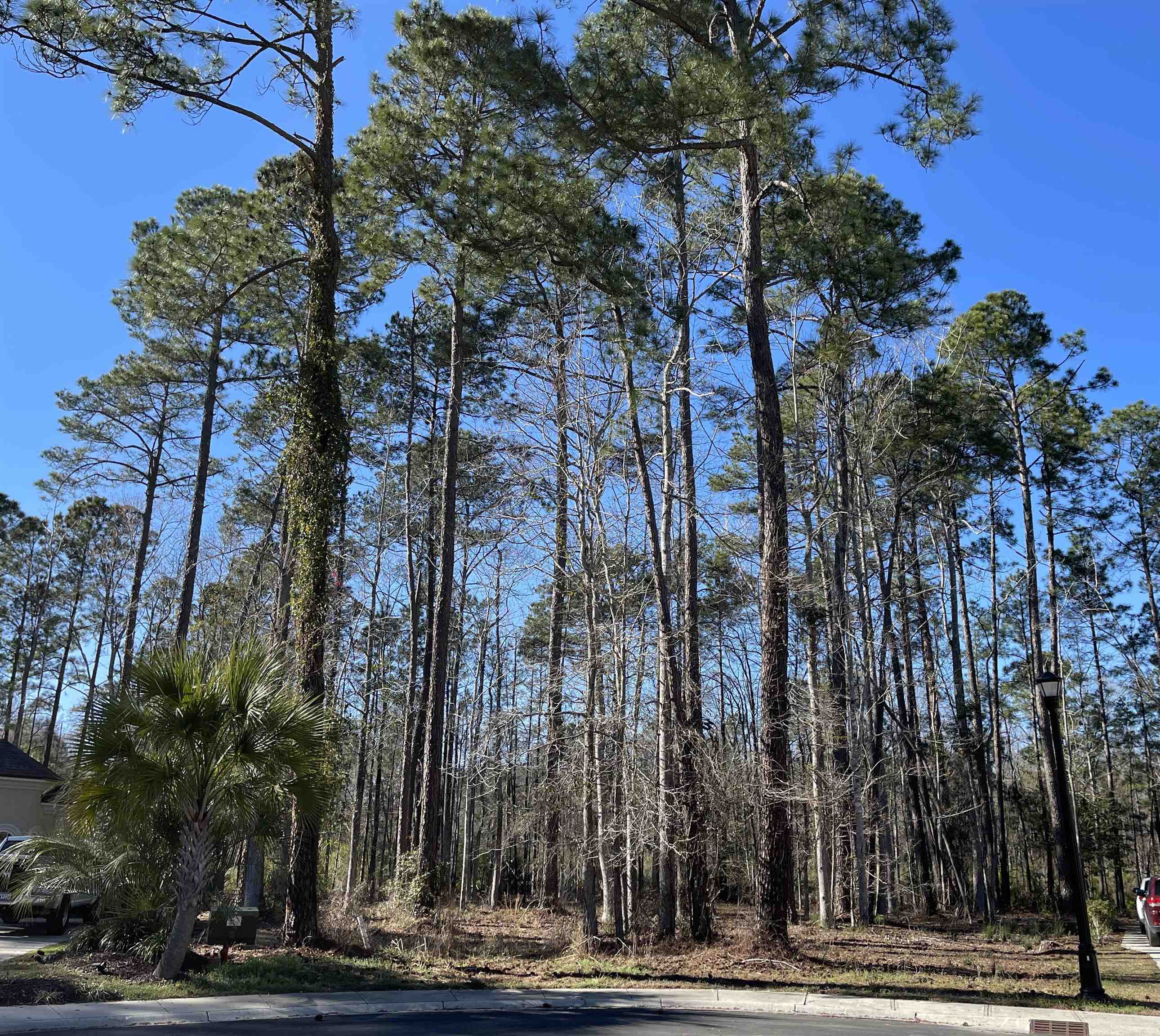 2859 McLeod Ln. Myrtle Beach, SC 29588