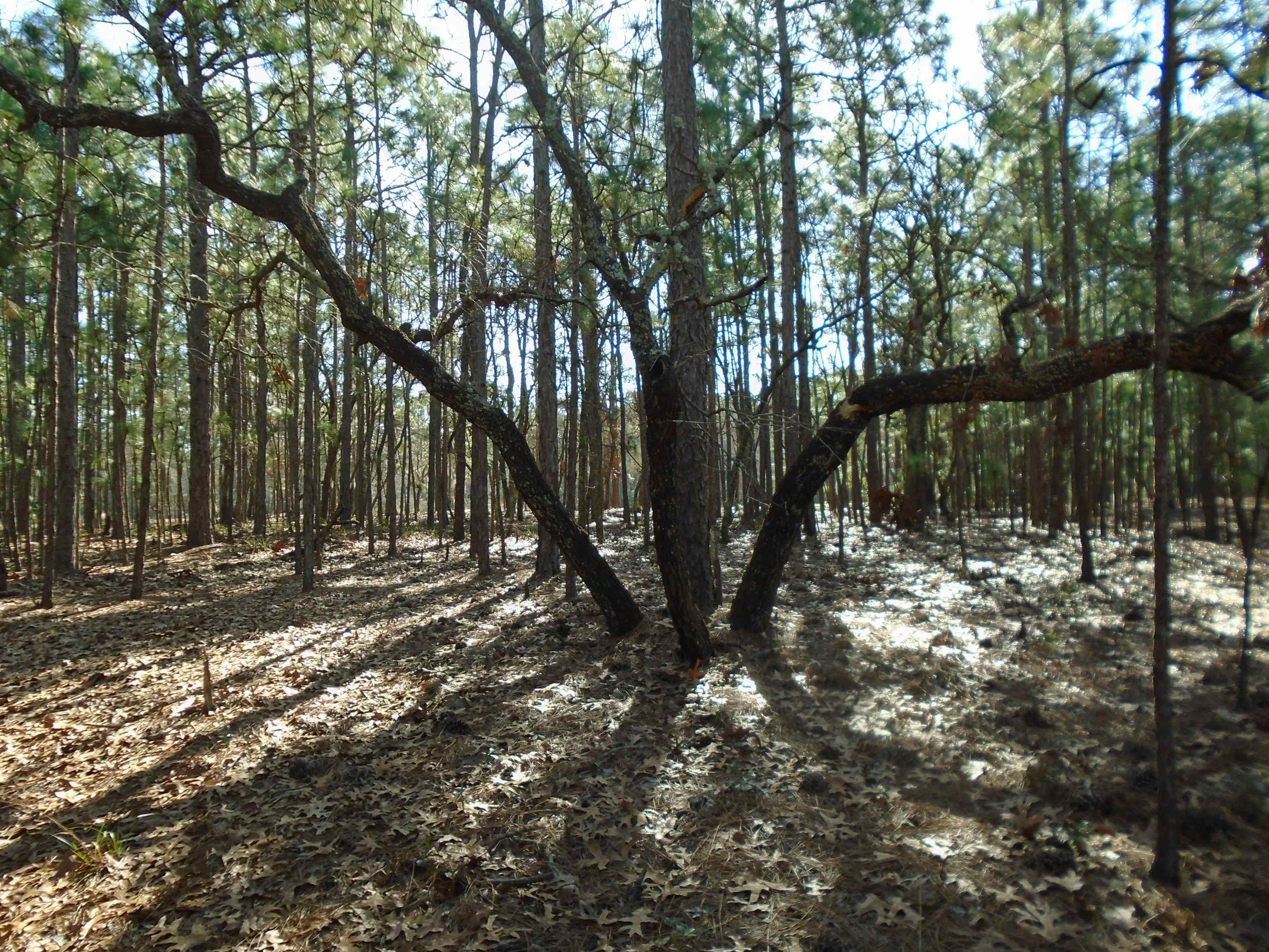 19 Vintage Dr. Pawleys Island, SC 29585