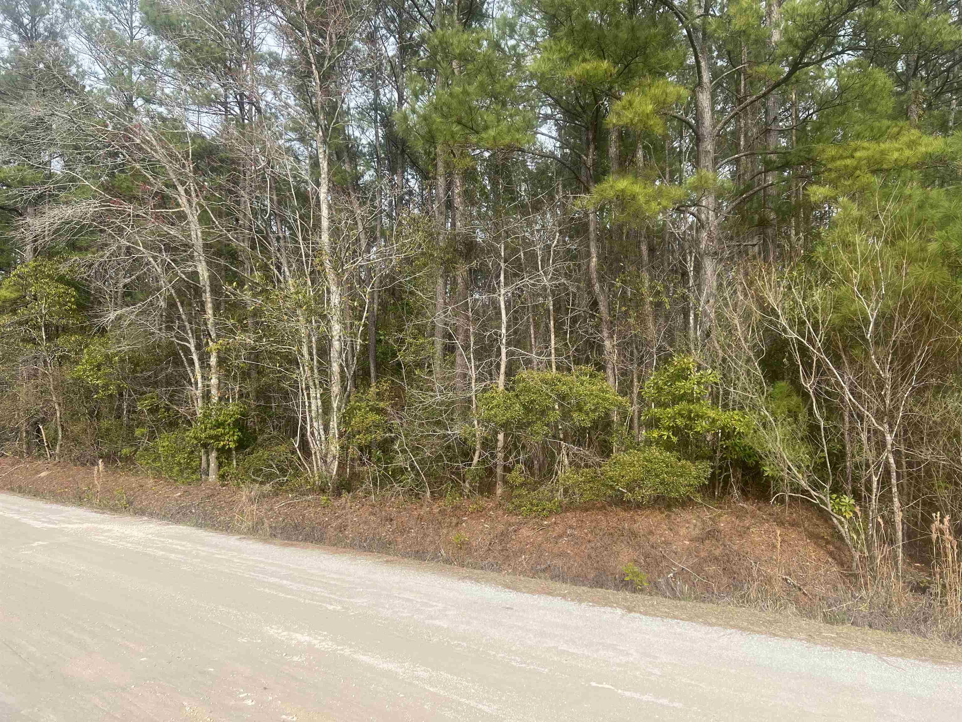 Lot 87 Day Star Way Loris, SC 29569