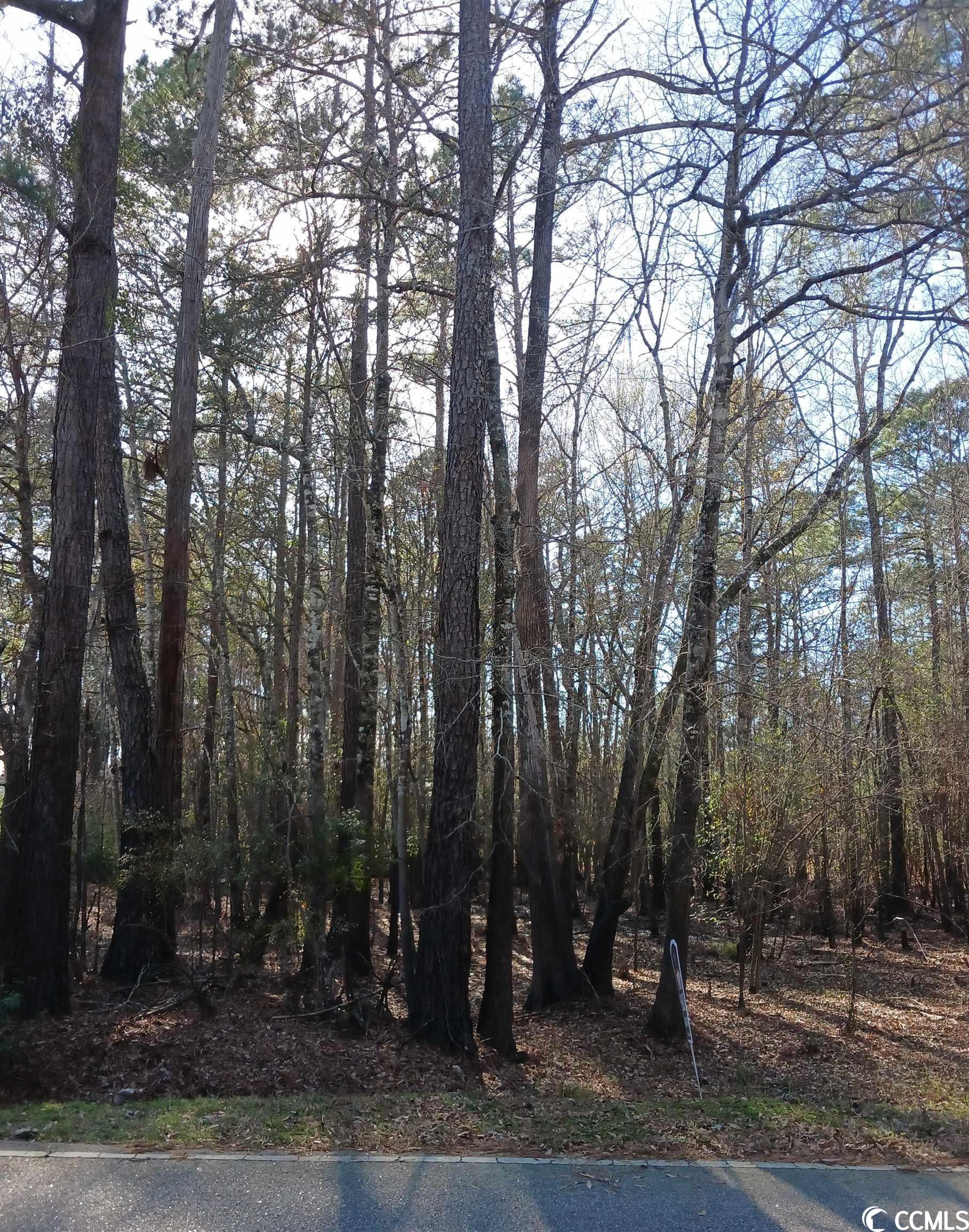 a wooded lot close to waccamaw river.  build your dream raised home. boat ramp is down the street. gps direction.  lees landing and waccamaw park.