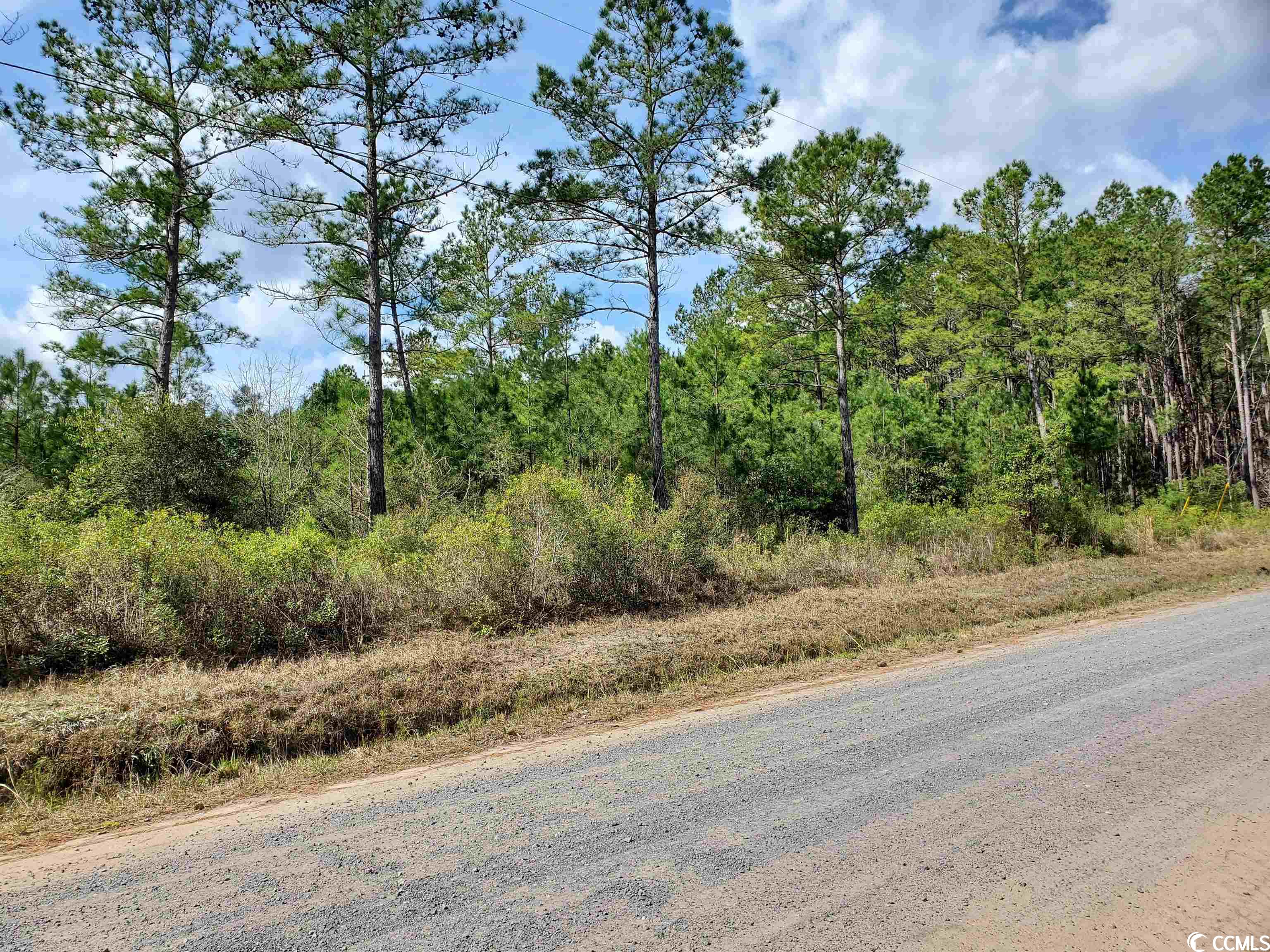 218 Samworth Loop Georgetown, SC 29440