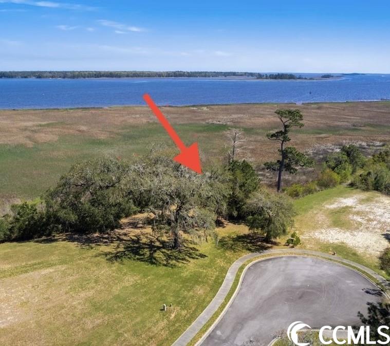 peace and tranquility surround you at this river view lot in south island plantation. beautiful live oak trees with spanish moss are throughout this neighborhood. wide, sweeping vistas of the winyah bay will be yours when you build your dream home here. take a golf cart ride to the boardwalk and walk out to the day dock to feel the river breezes and see an occasional boat pass by. a gorgeous elegant clubhouse with rocking chairs on the porch and swimming pool are available for everyday use and special occasions. this gated neighborhood offers both privacy and convenience with the restaurants and shopping of front st. in georgetown only 4 miles away. come see why south island plantation is worth the drive. it's beauty and simple elegance will make you feel right at home. charleston is 60 miles to the south. pawleys island beaches are 18 miles north.