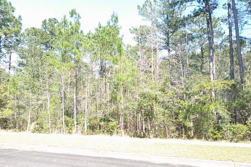 83 Pineberry Dr. Georgetown, SC 29440