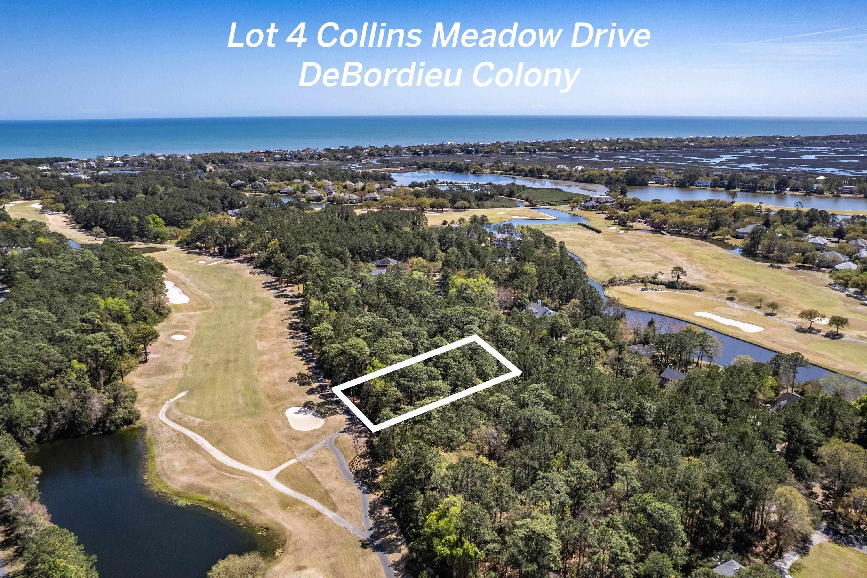 Lot 4 Collins Meadow Dr. Georgetown, SC 29440