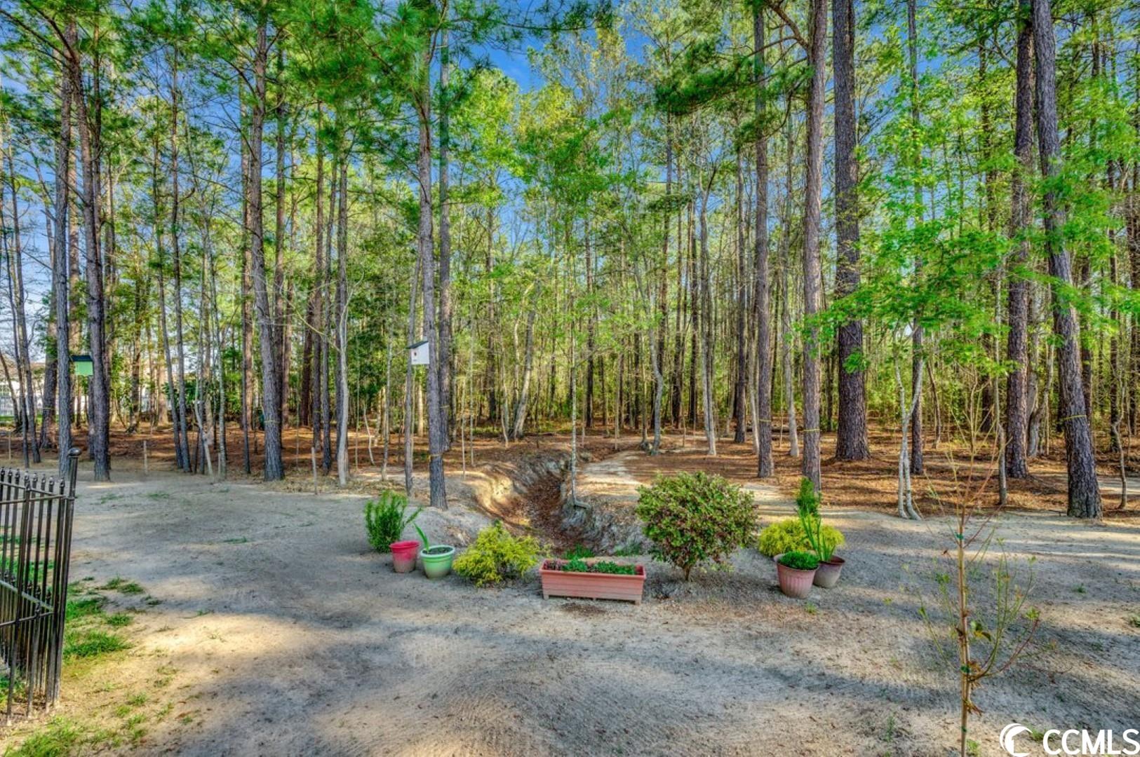 1719 Carsens Ferry Dr. Conway, SC 29526
