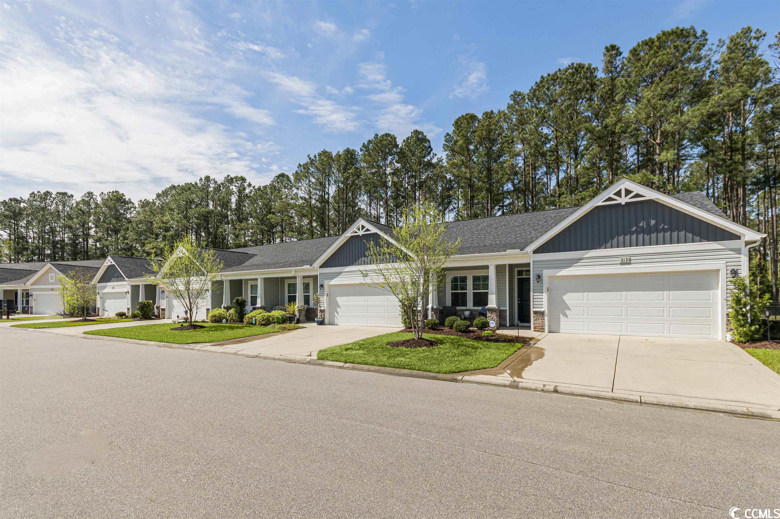 309 Lake Mist Ct. Longs, SC 29568