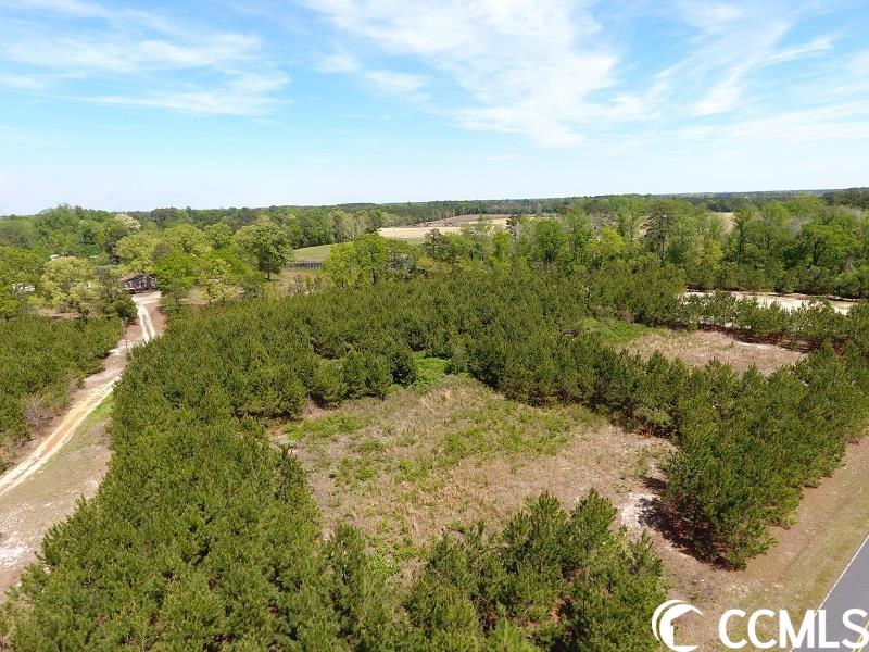 0 (Lot 13) Lee Rd. Gibson, NC 28343