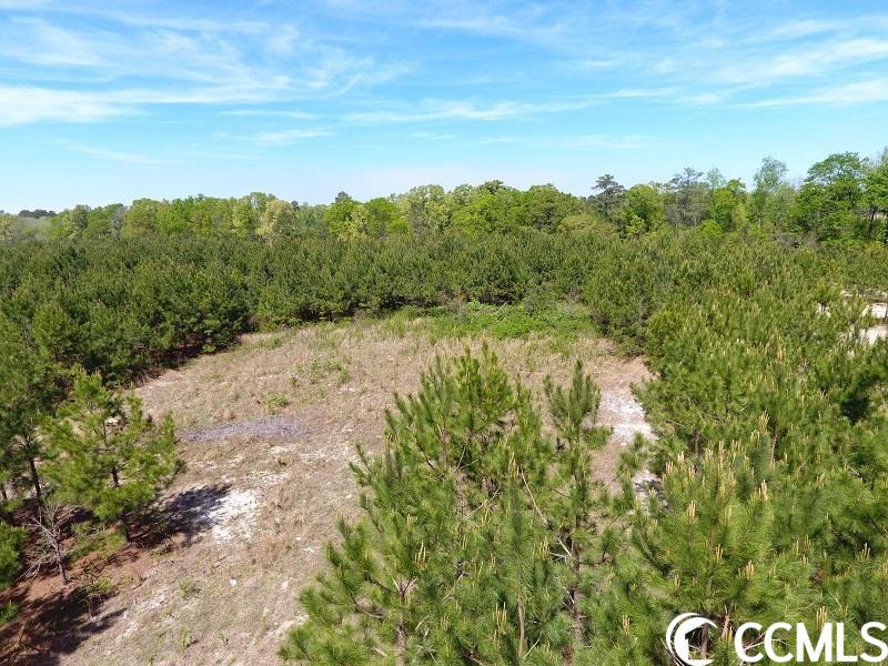 0 (Lot 15) Lee Rd. Gibson, NC 28343