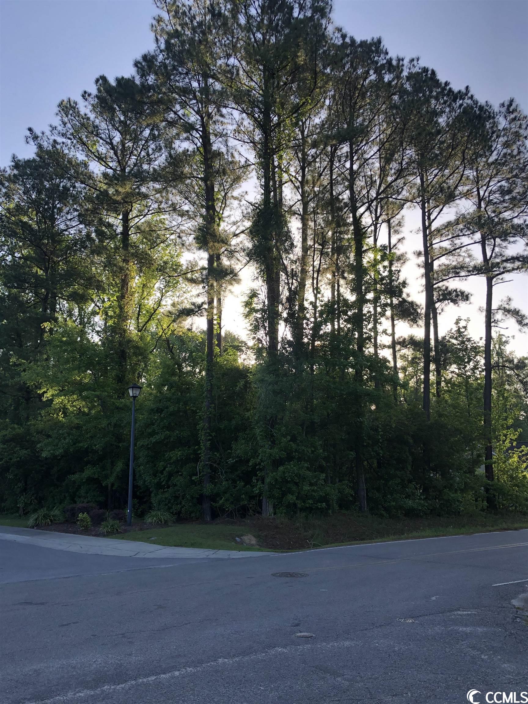 Lot 30 Sawyer St. Conway, SC 29527