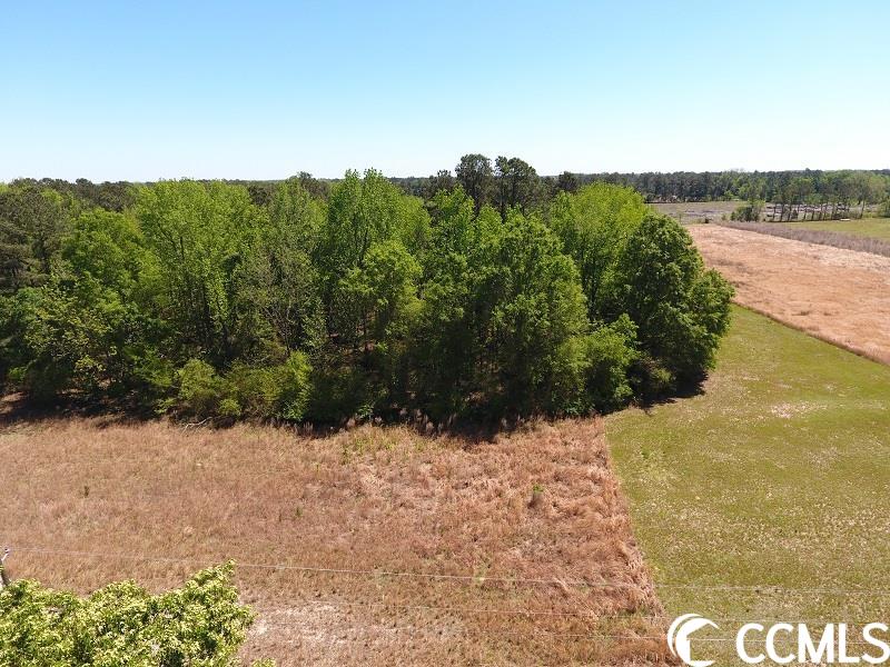 Lot # 9 McQuage Farm Rd. Bennetsville, SC 29512