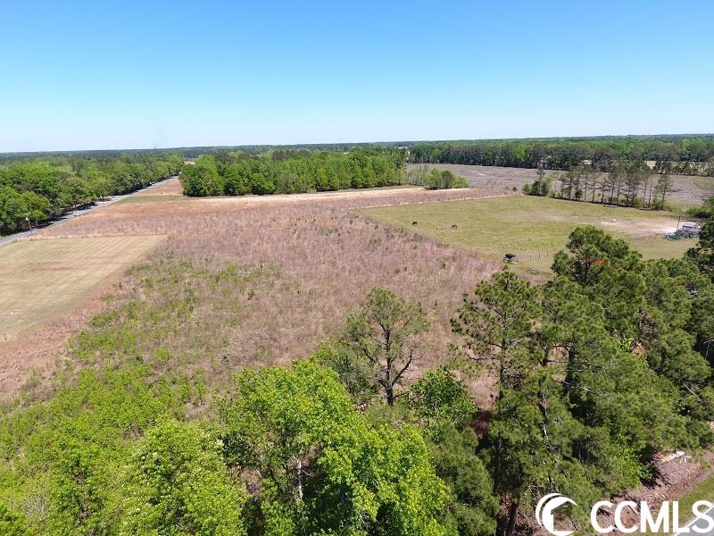 Lot #16 Hebron Dunbar Rd. Bennetsville, SC 29512