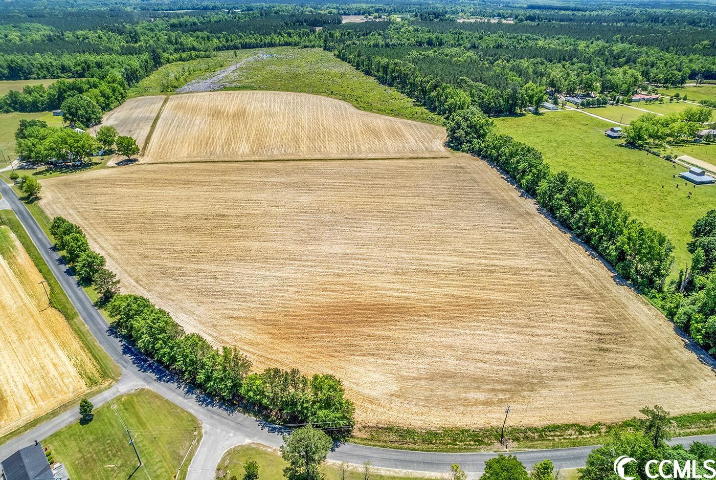 TBD Fork of Swamp Rd. Galivants Ferry, SC 29544