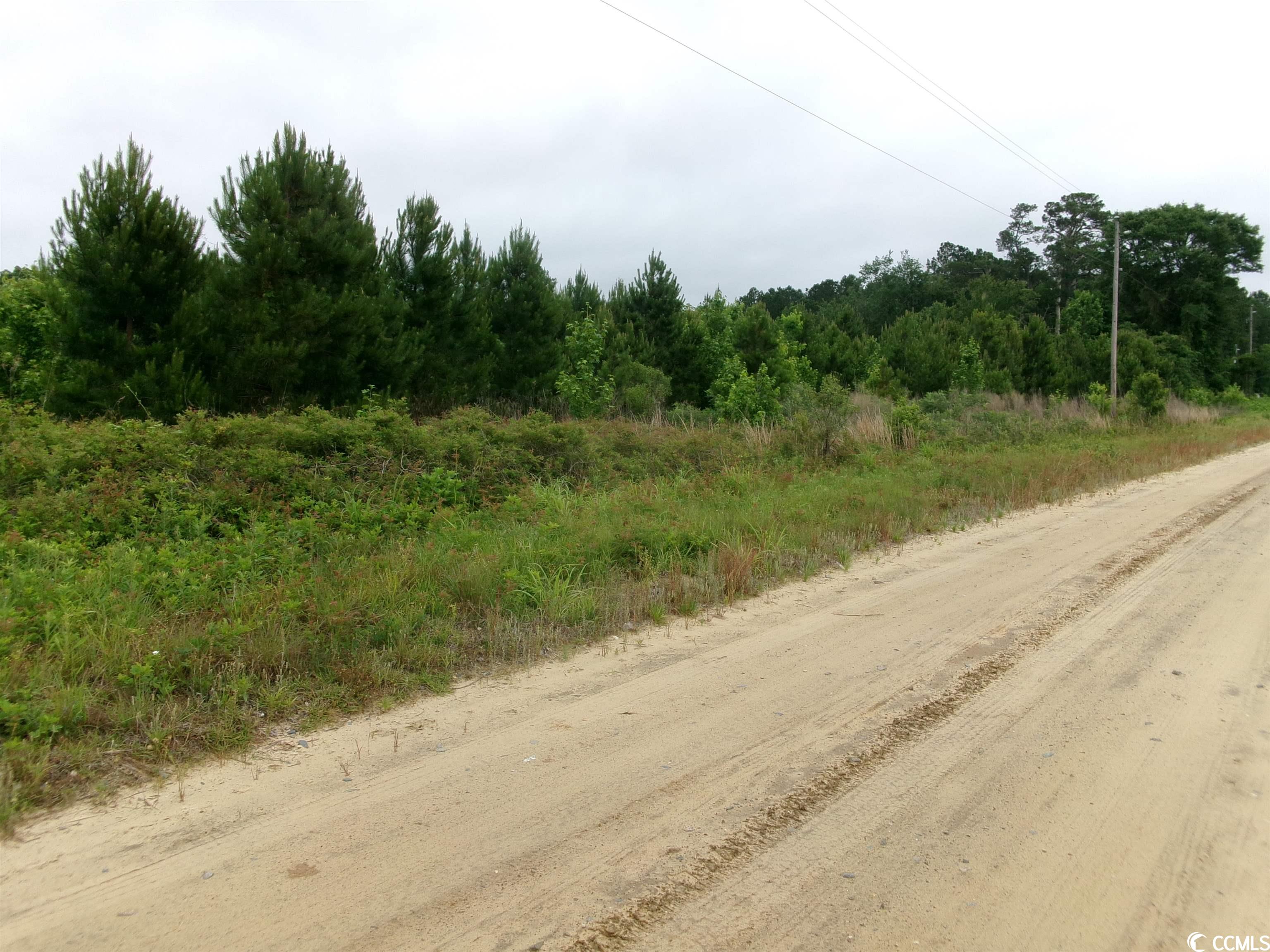 TBD Millers Rd. Mullins, SC 29574