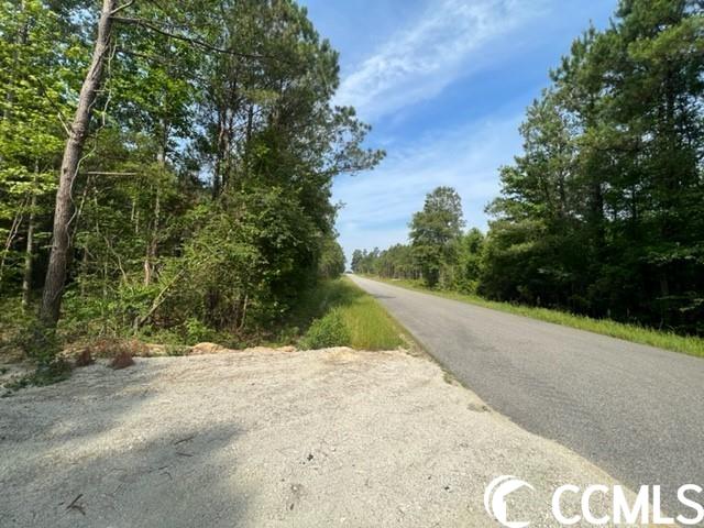 TBD Huckleberry Rd. Galivants Ferry, SC 29544