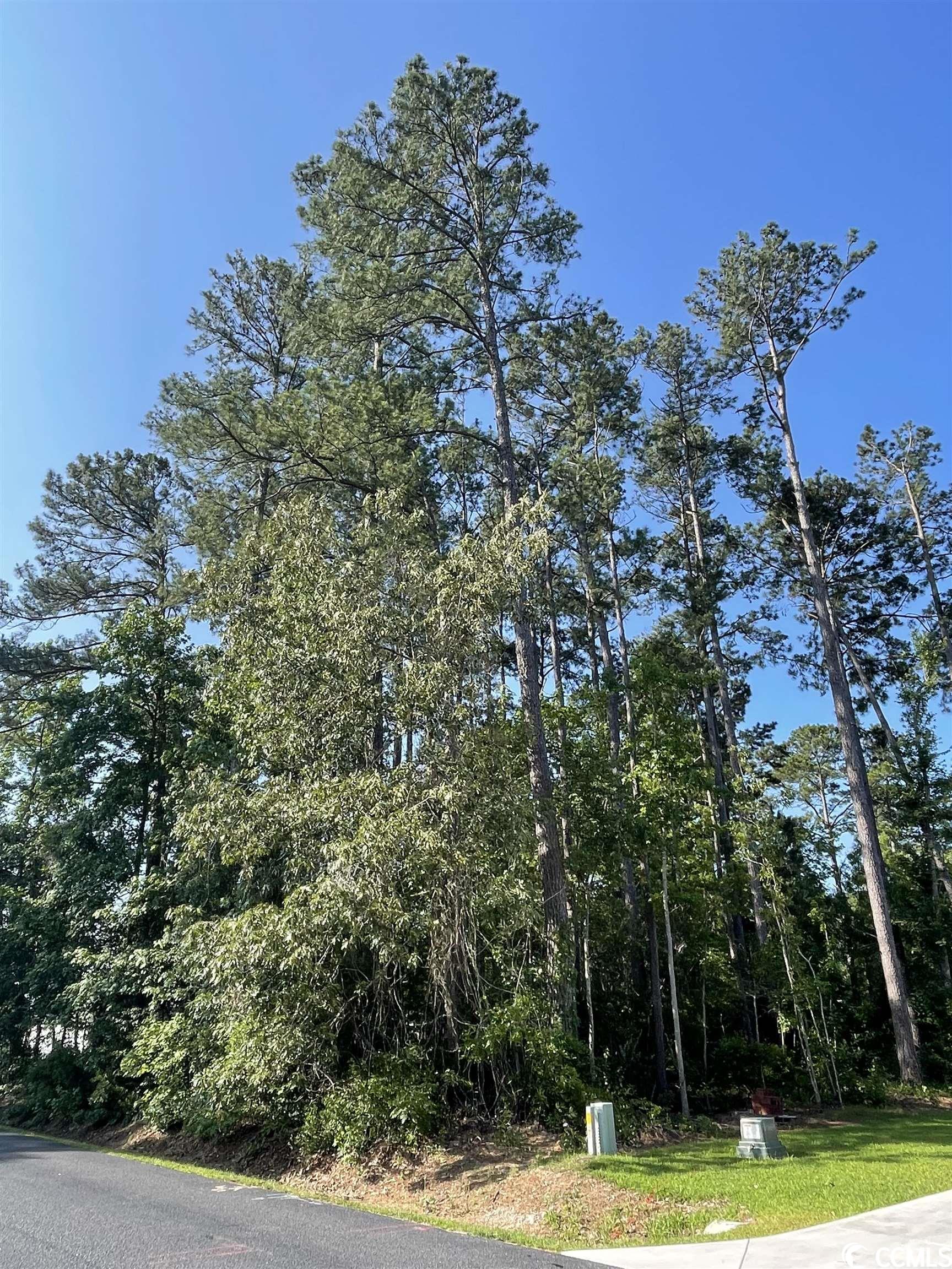 2272 Seaford Dr. Longs, SC 29568