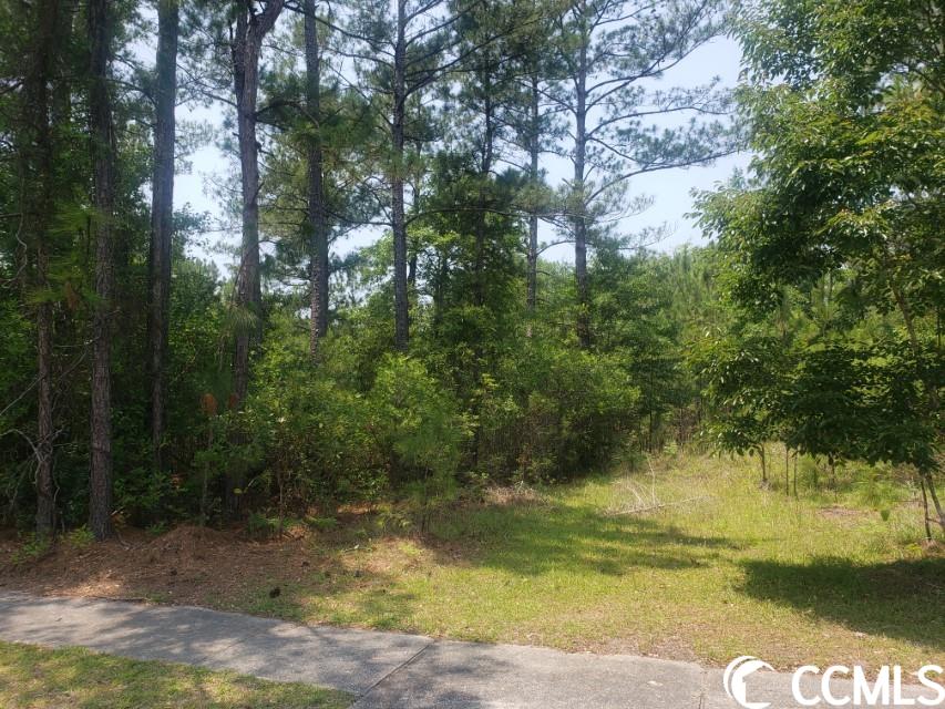 here is your terrific opportunity to take ownership of a wonderful lot in the amazing harmony neighborhood. build your dream home on a high and dry lot just a stone throw from the sampit river and winyah bay. this property is perfect for the outdoors people who love to hunt and fish or the family looking for a wonderful country style setting for their dream home. ownership in the harmony neighborhood allows access to the private boat ramp and the marina at friendfield marina. this is the best price lot in this neighborhood so don't wait and don't hesitate, go and see it today.