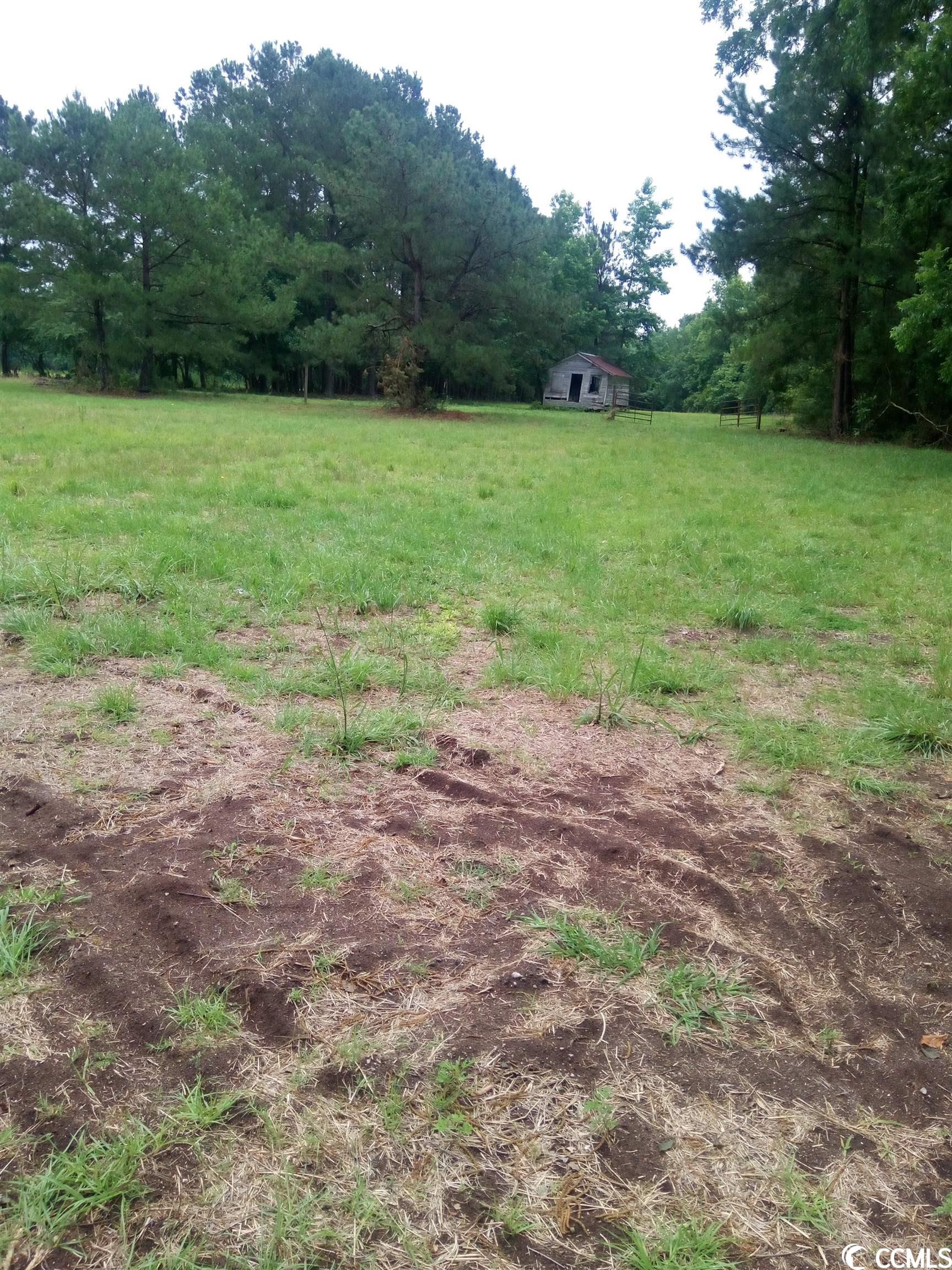 1798 Log Cabin Rd. Loris, SC 29569