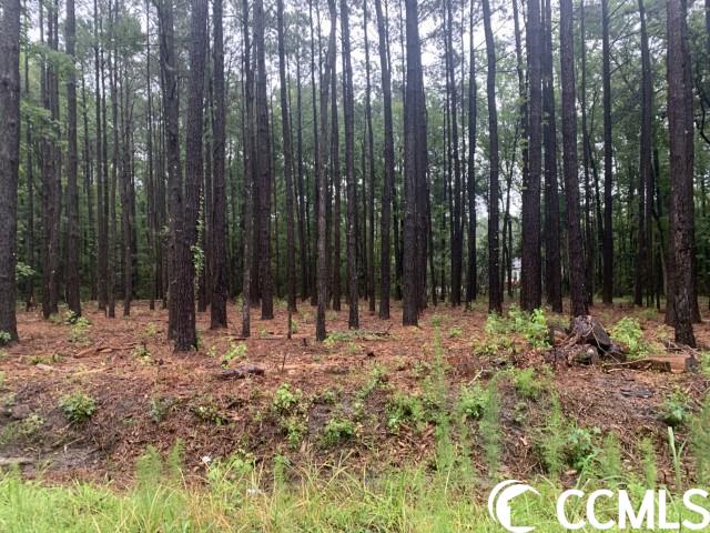 119 Country View Ct. Little River, SC 29566