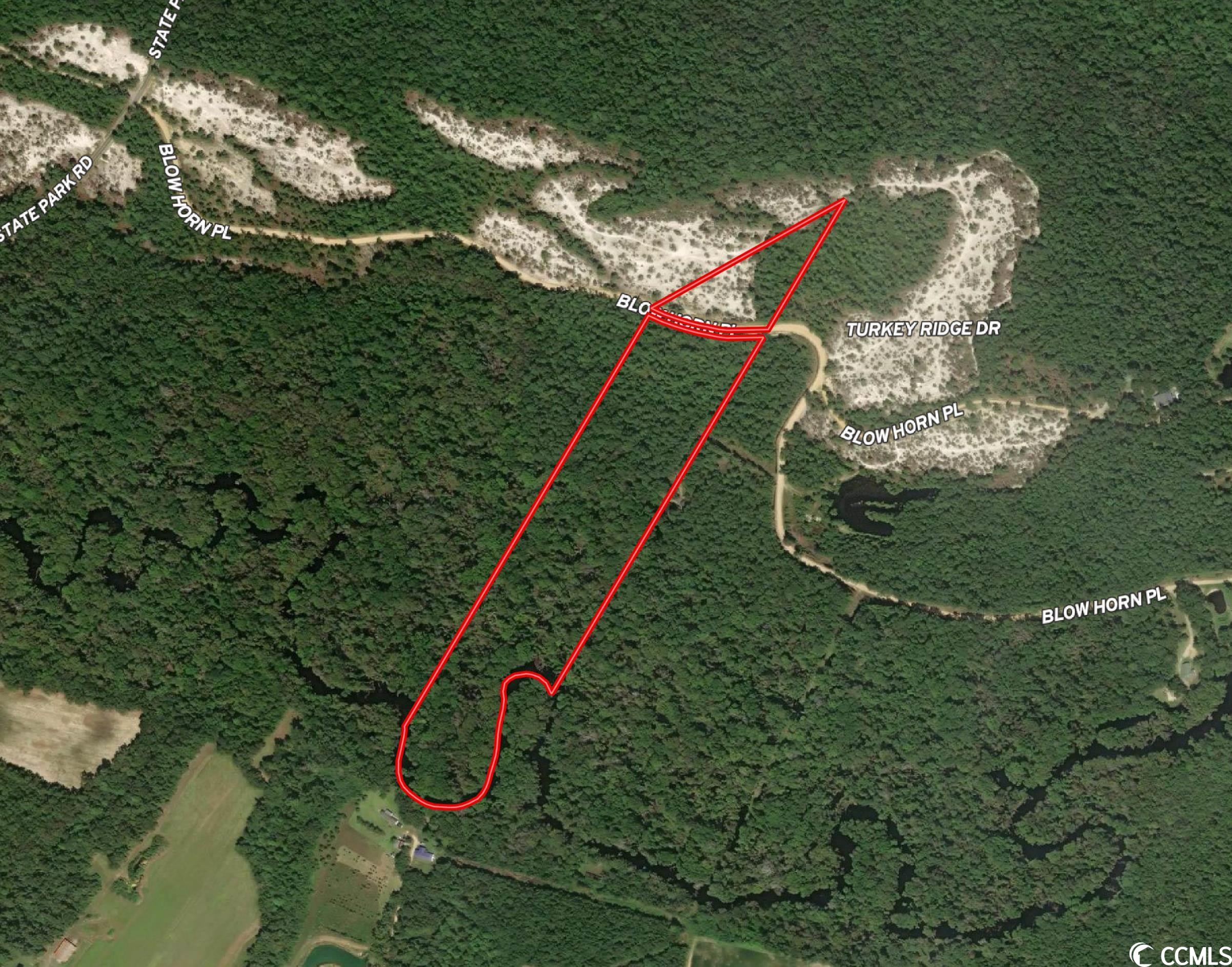 TBD Blow Horn Pl. Dillon, SC 29536