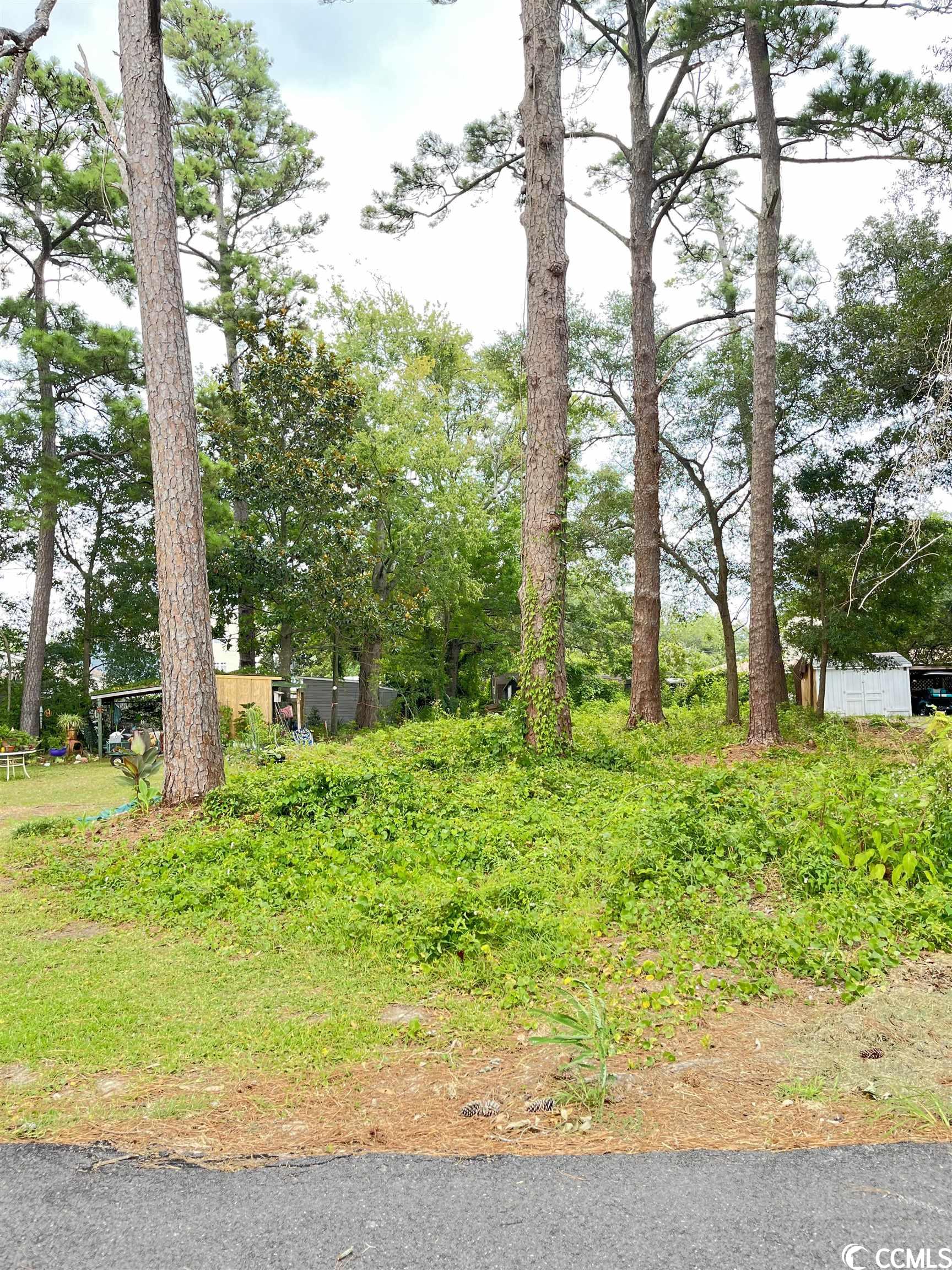 Lot 4 5th Ave. S Surfside Beach, SC 29575