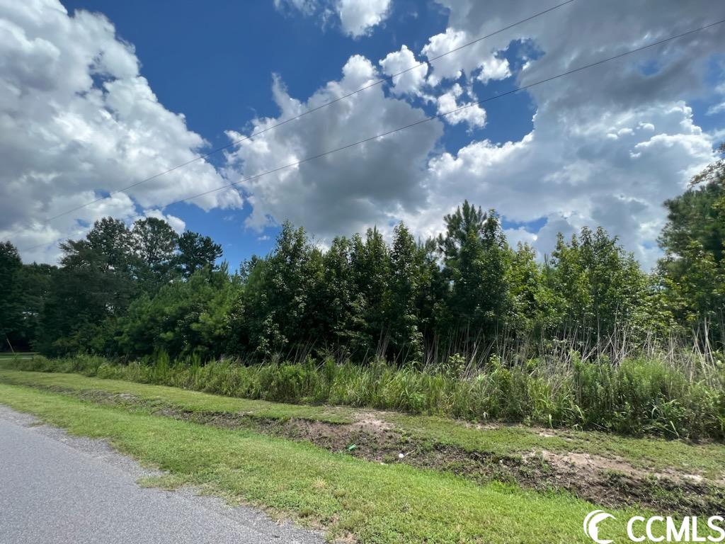206 Morgan Rd. Loris, SC 29569