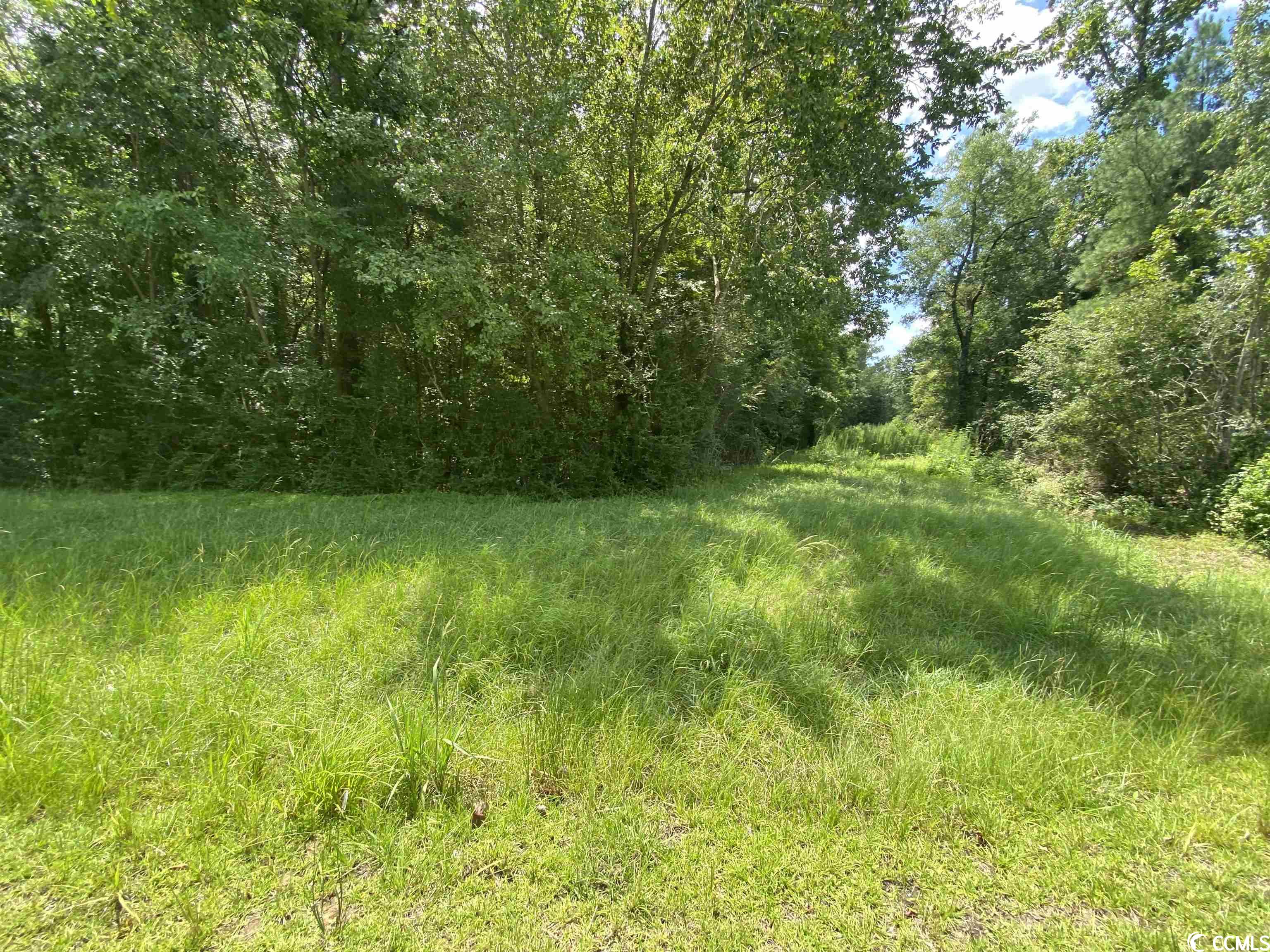 1.84 acres Medlen Pkwy. Conway, SC 29526