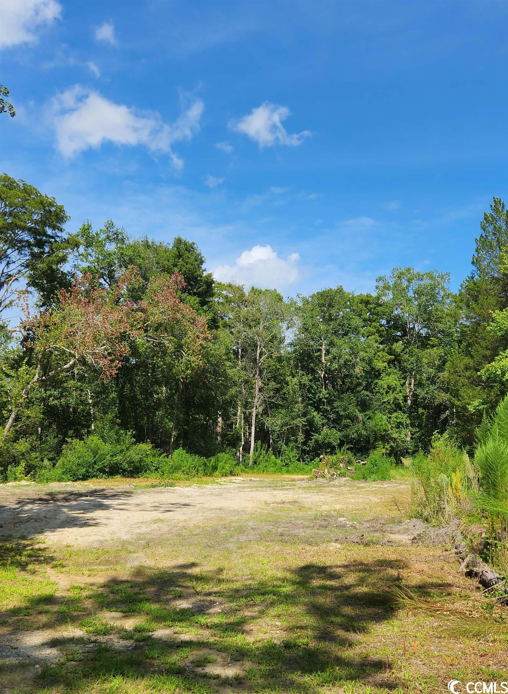 TBD Renty Tucker Ct. Pawleys Island, SC 29585