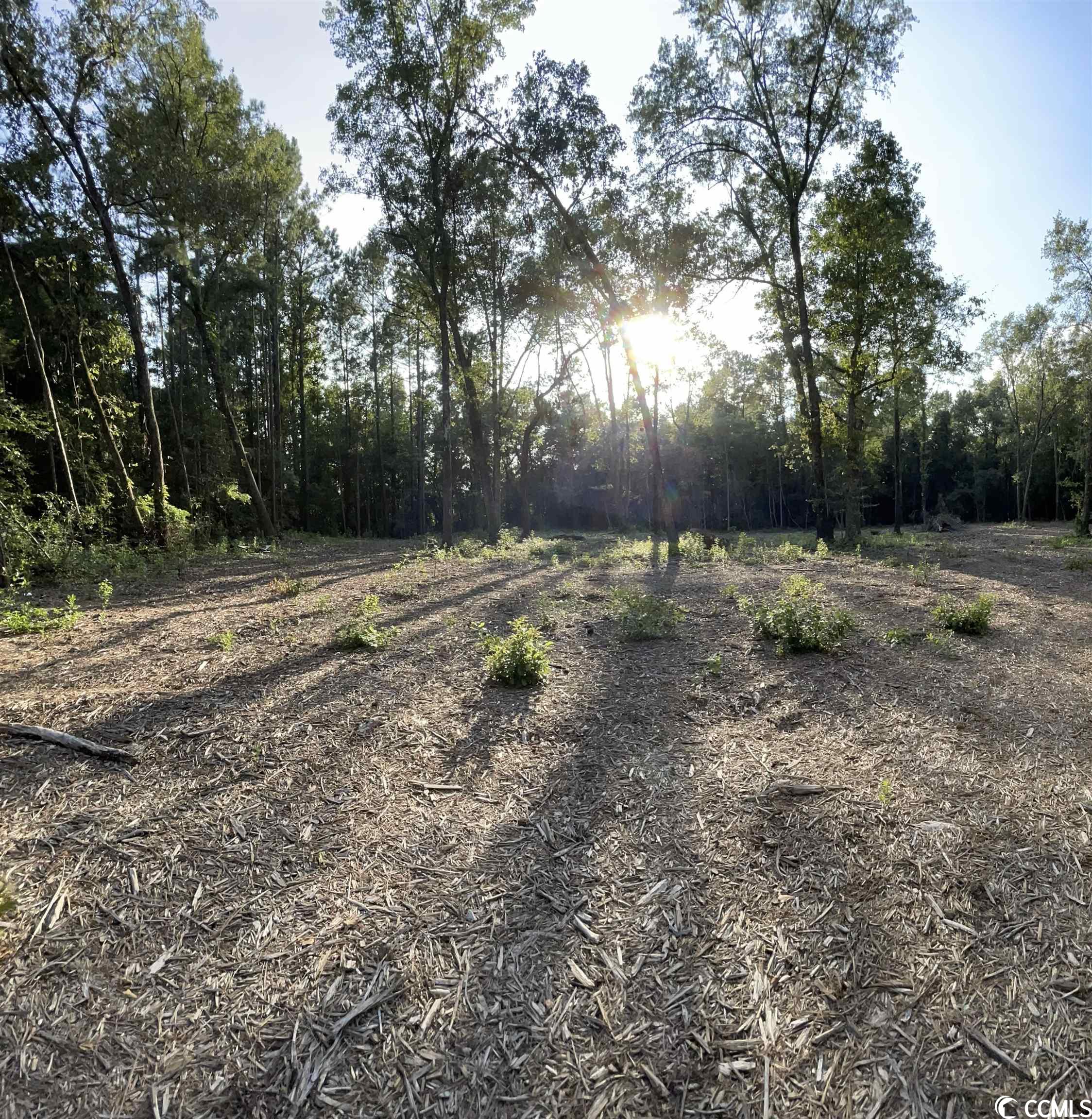 183 Round Swamp Rd. Loris, SC 29569